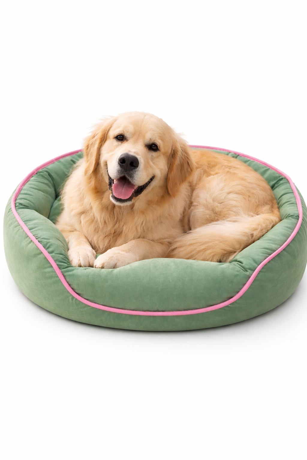 CAMA PARA PERRO GRANDE-2