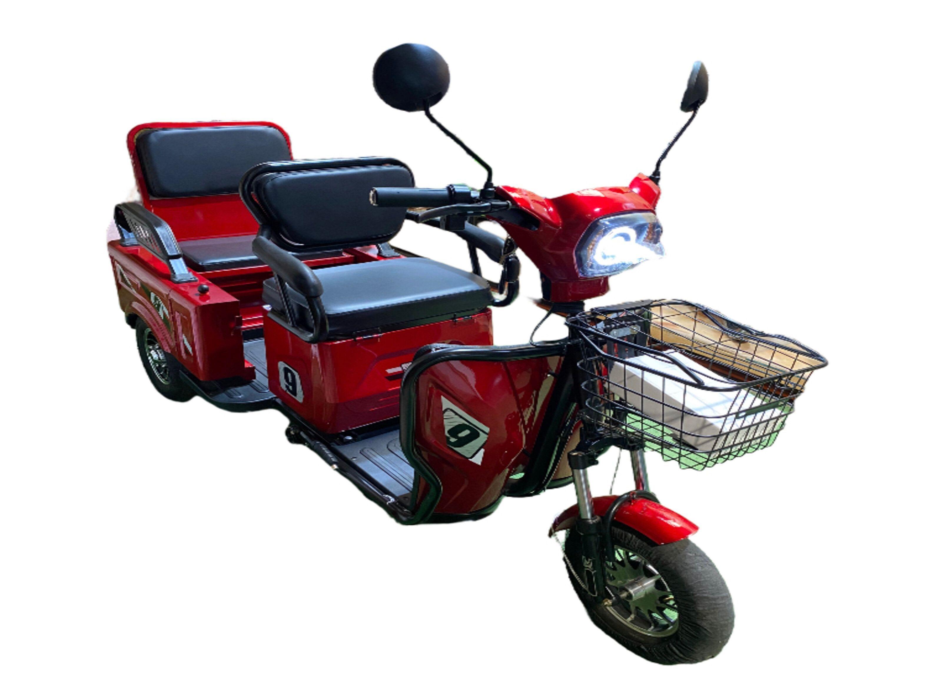 TRICICLO DE PASAJEROS Y CARGA 650W 48V PEGASO BIKE-0