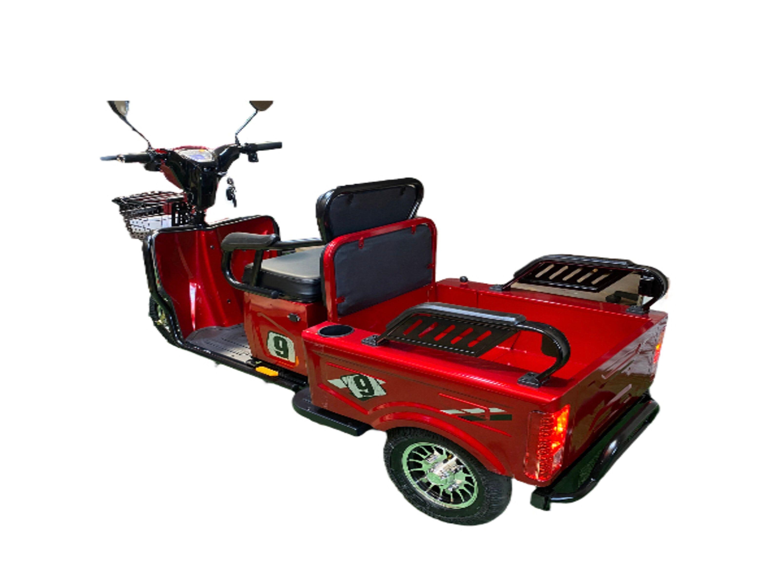 TRICICLO DE PASAJEROS Y CARGA 650W 48V PEGASO BIKE-4