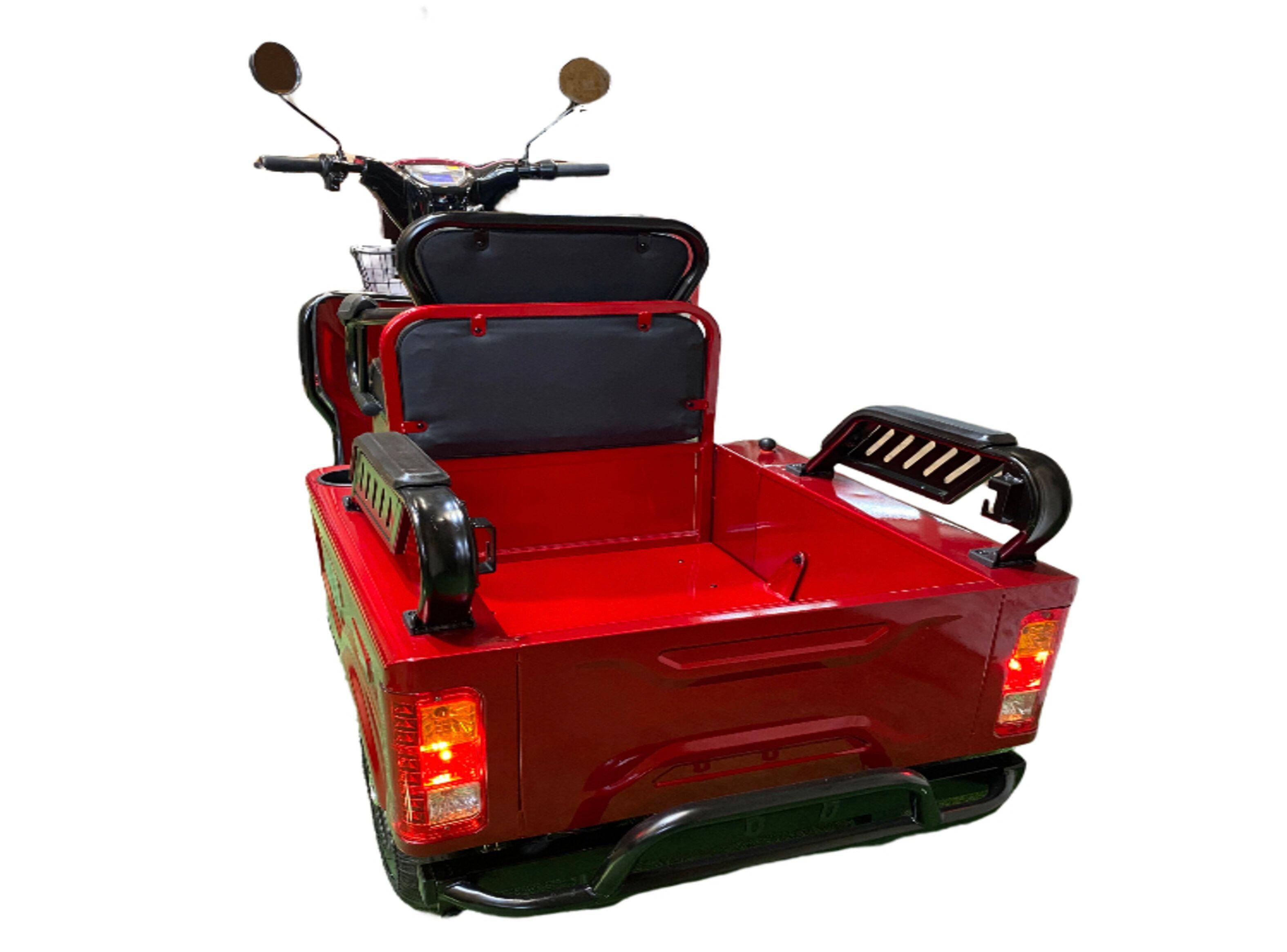 TRICICLO DE PASAJEROS Y CARGA 650W 48V PEGASO BIKE-3
