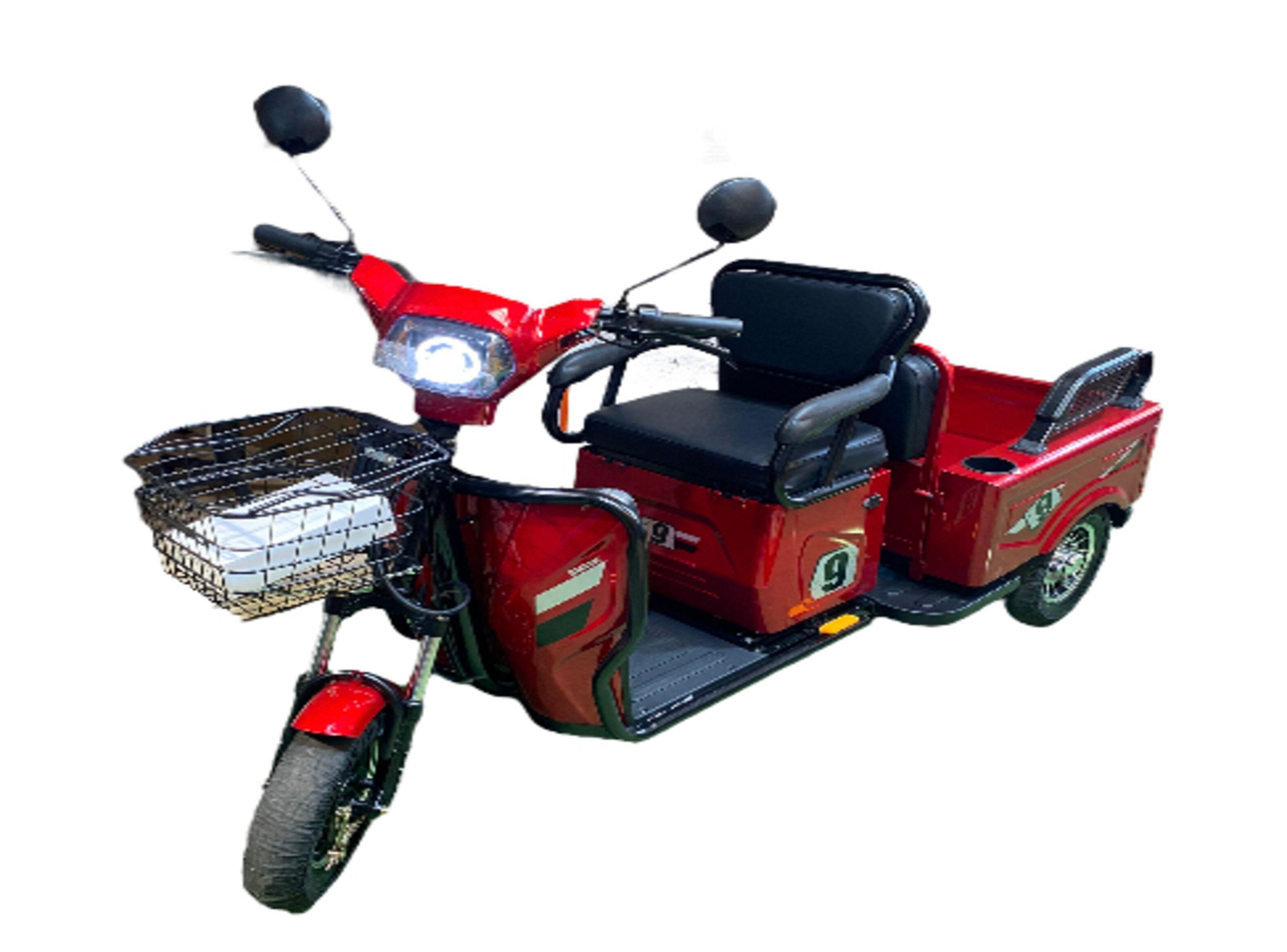 TRICICLO DE PASAJEROS Y CARGA 650W 48V PEGASO BIKE-2