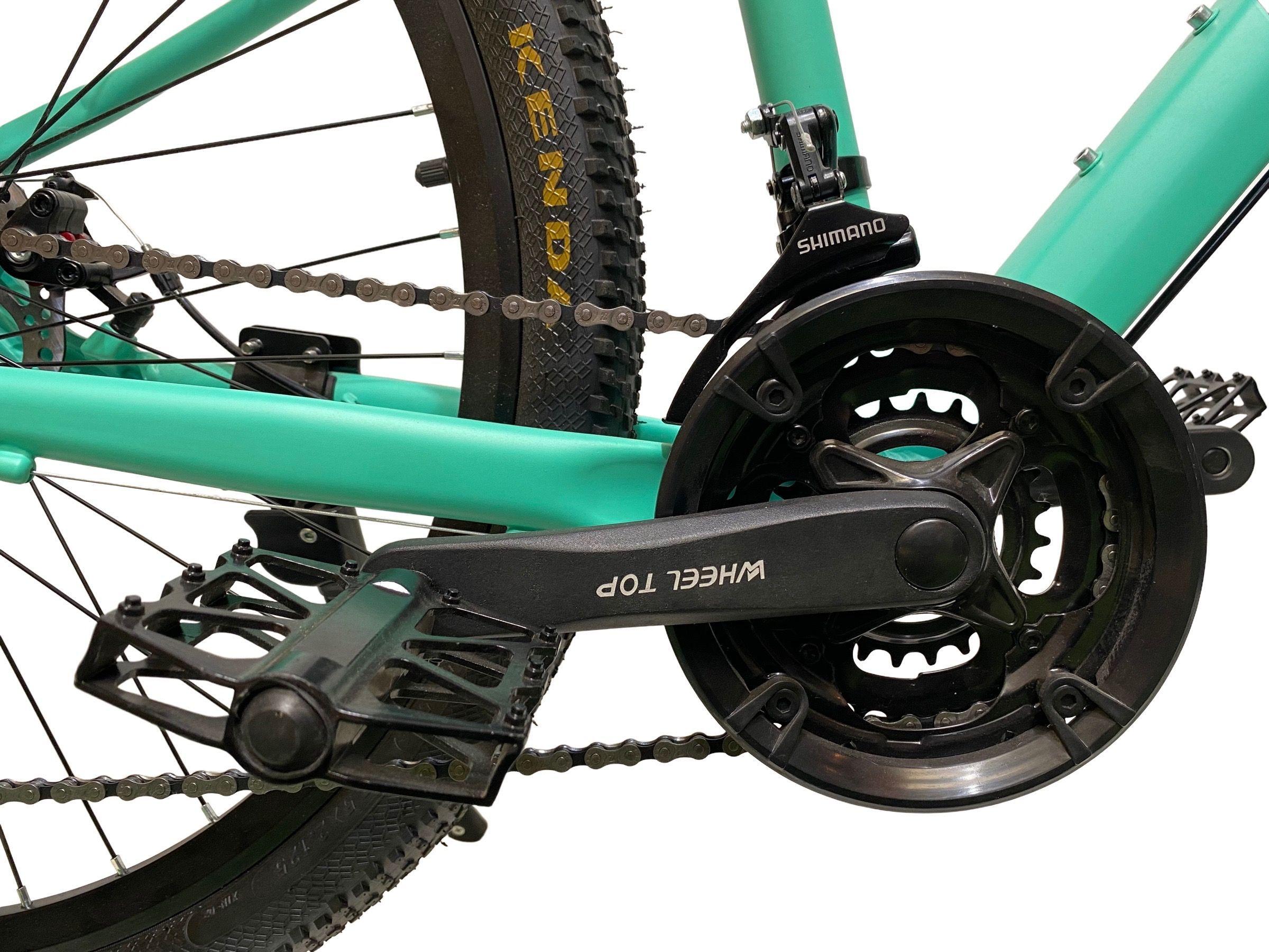 BICICLETA MTB ZEUS 1 ARO 29 TALLA L ALUMINIO 21VELOCIDADES-3