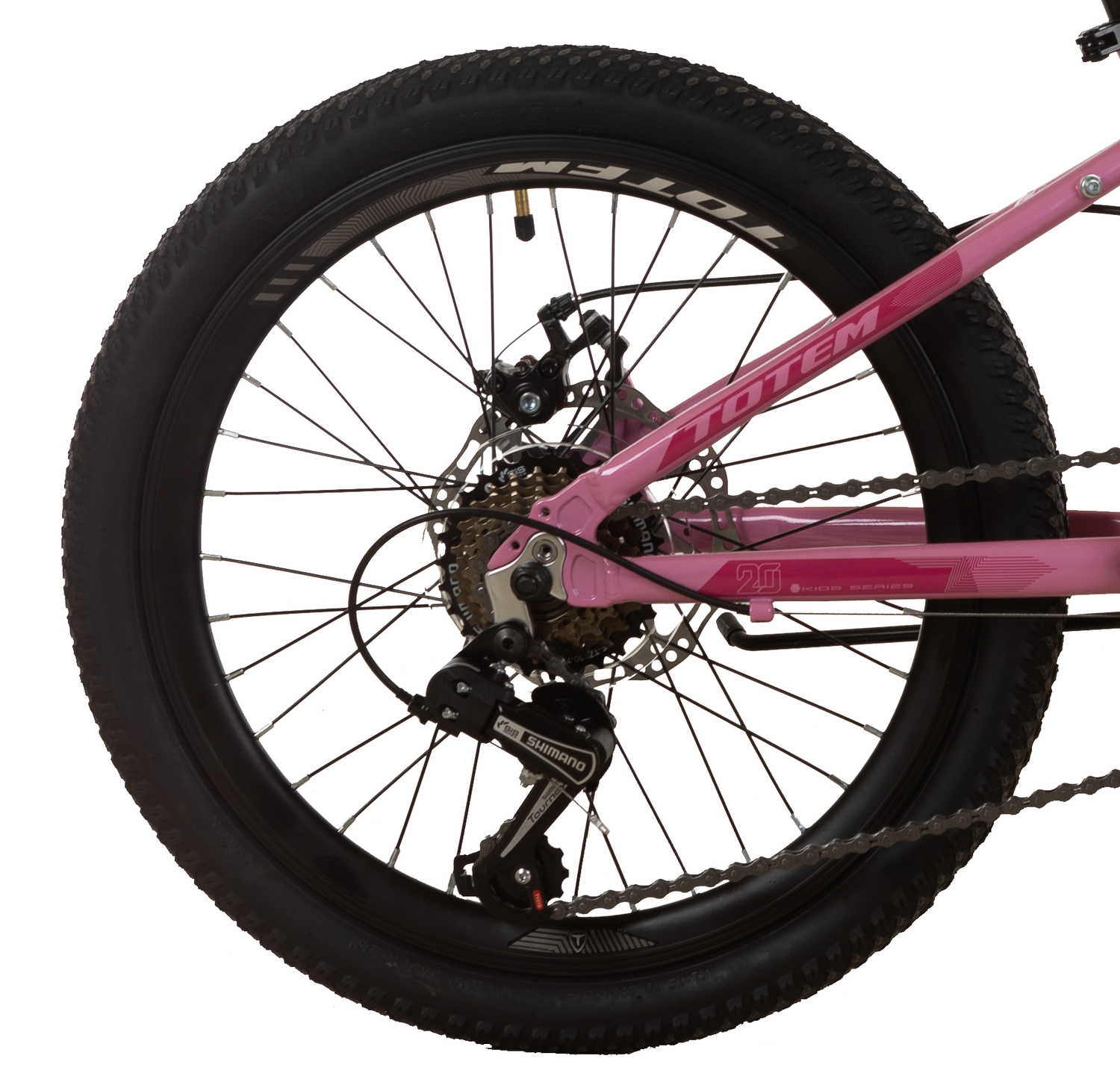 BICICLETA TOTEM MTB ARO 20 MODELO ELISE ROSADO-4