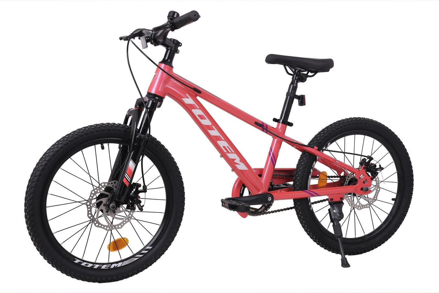 BICICLETA TOTEM MTB ARO 20 SUNSHINE COLOR ROSADA-3