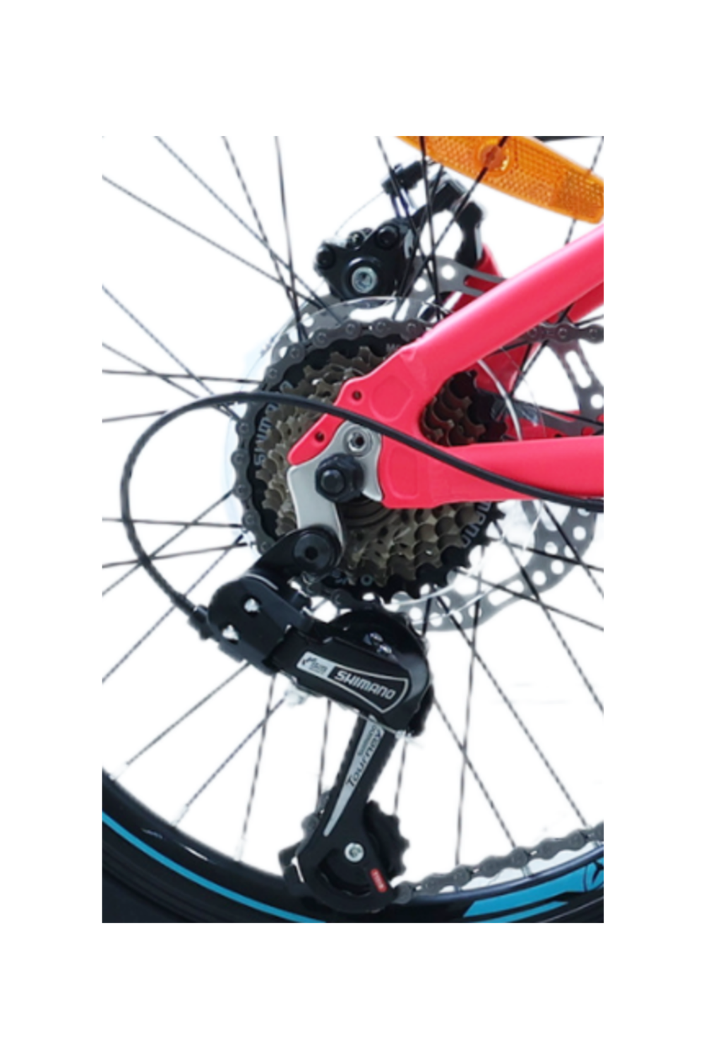 BICICLETA TOTEM MTB ARO 20 MODELO ELISE FUCSIA-3