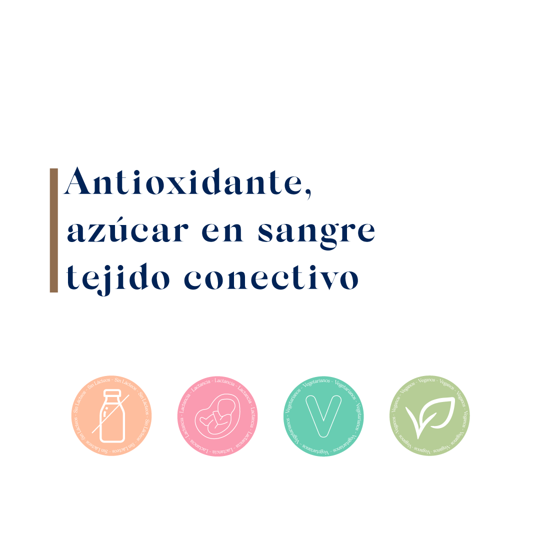 Minerales - Nutrisorb Manganeso liquido 15ml-2