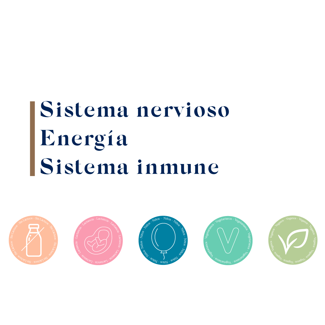 Vitaminas - Nutrisorb B 12 15ML-2