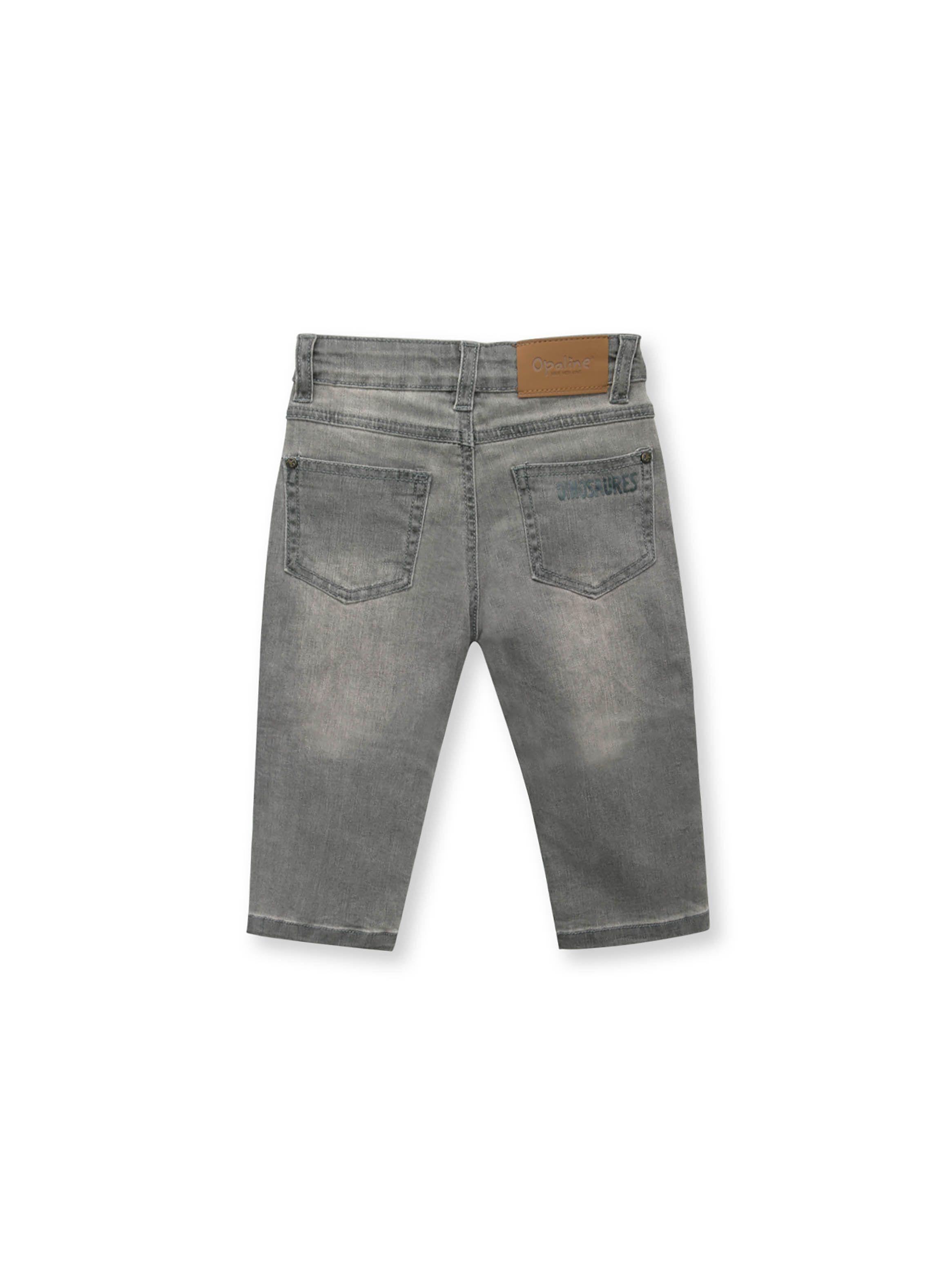 Jeans de niño dino Gris (6M - 4A)-1