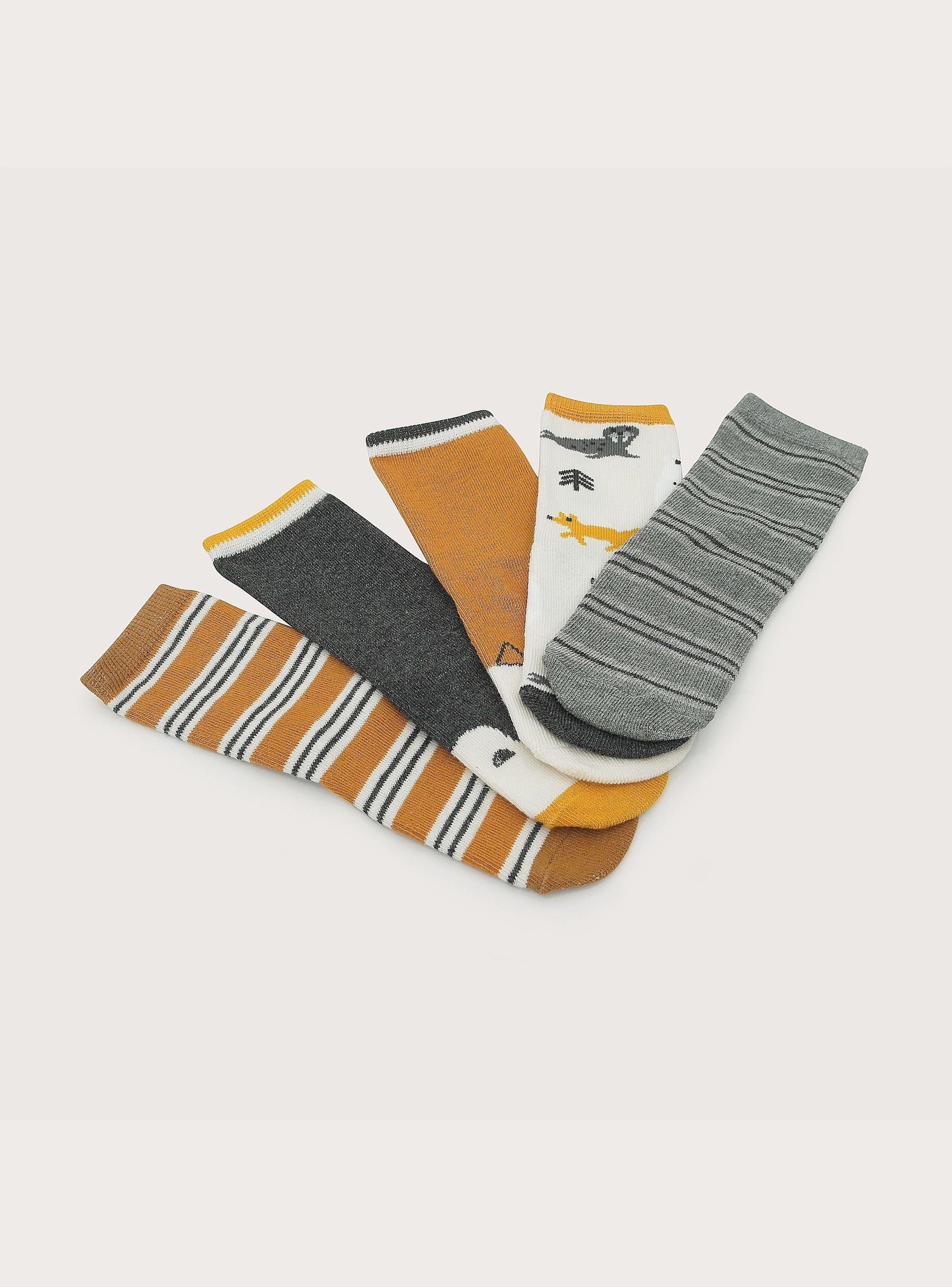 Pack De 5 Calcetines De Niño Opaline-2