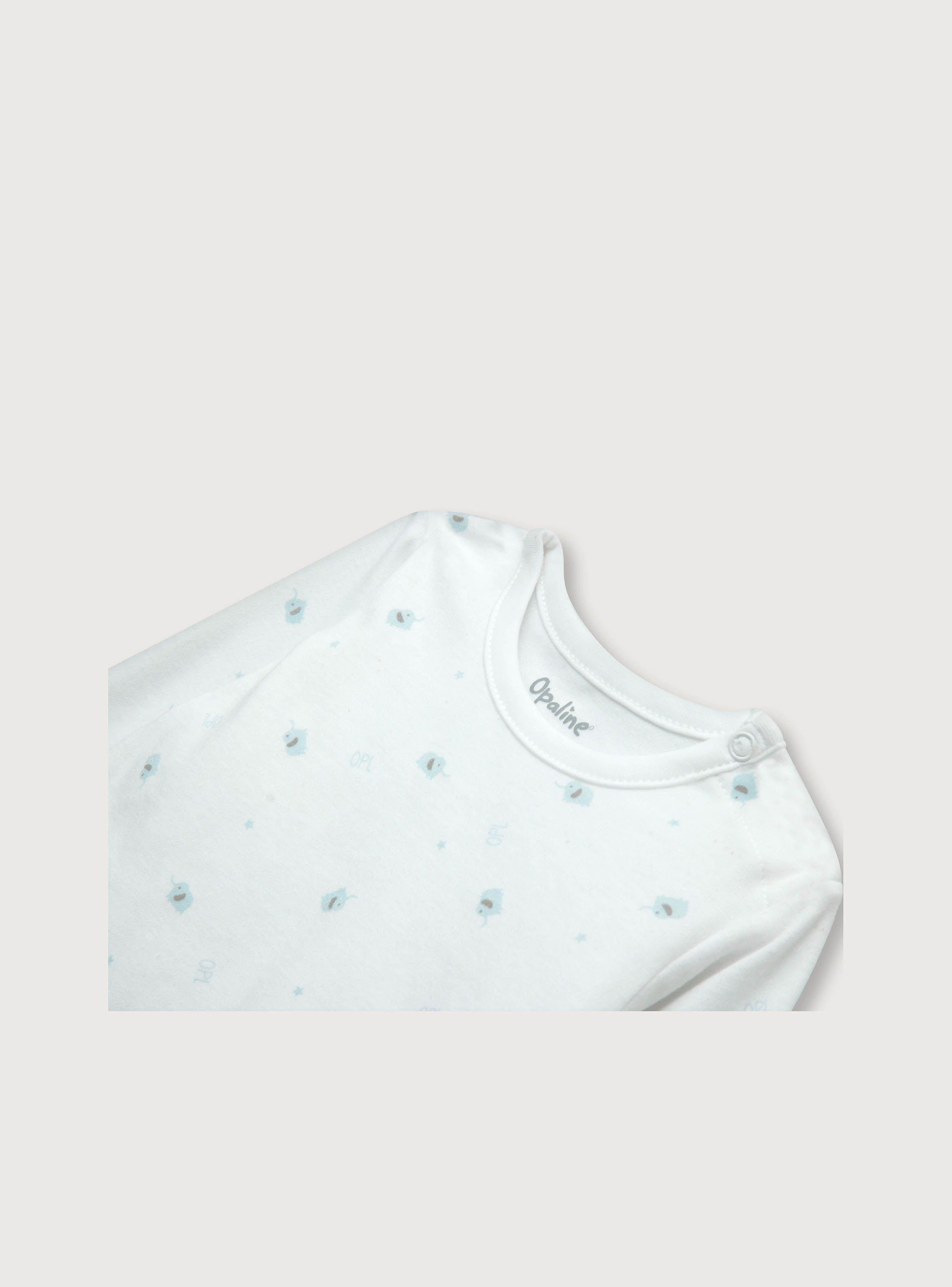 Pack Bodies Niño Calipso (Pm A 2A) Opaline-3