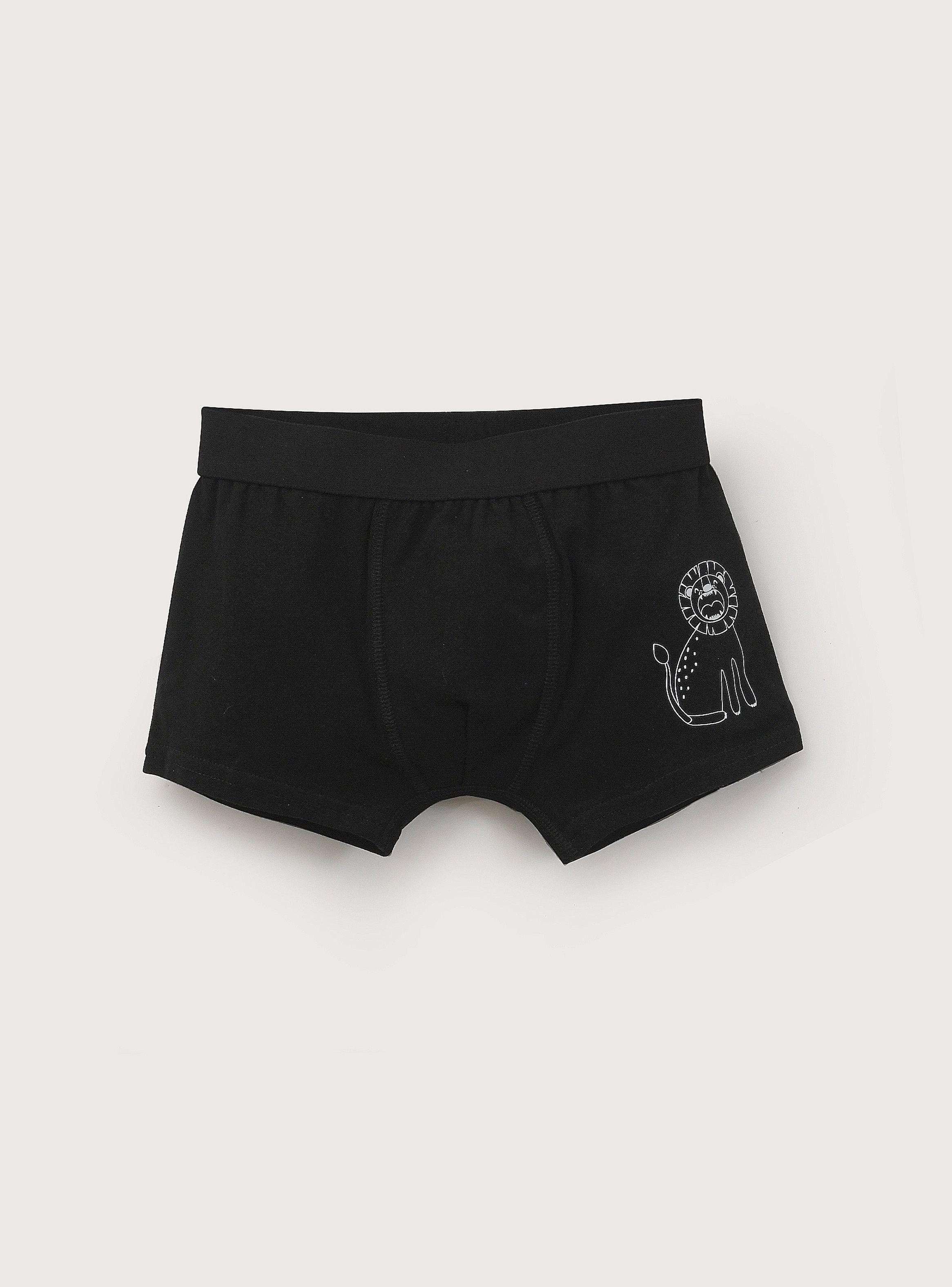 Pack De 3 Boxer-5