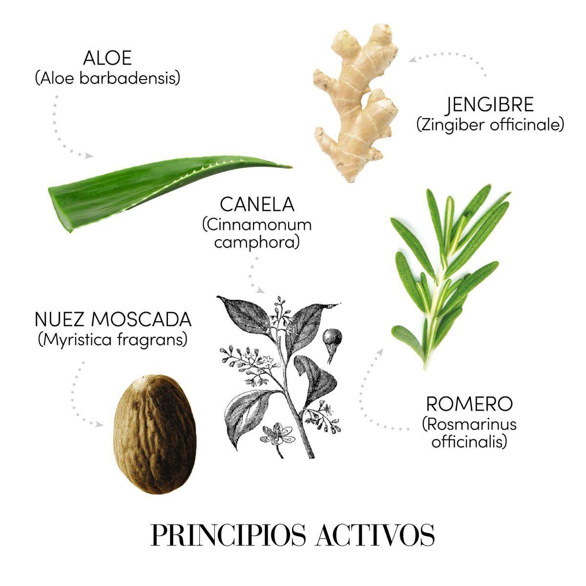 Shampoo Anticaída 250ml Medavita-1