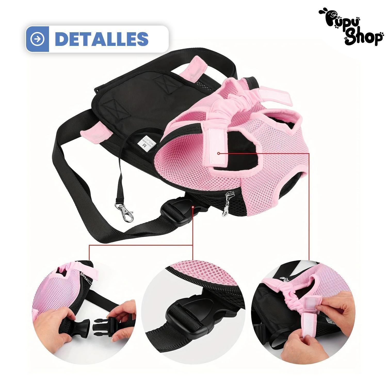 BOLSO CANGURO MORRAL TRANSPORTE MASCOTA azul-6