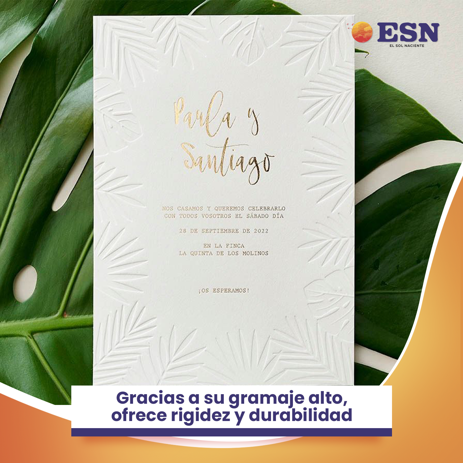 PAPEL OPALINA LISA BLANCO 230 GR A4 50 HOJAS ESN-6