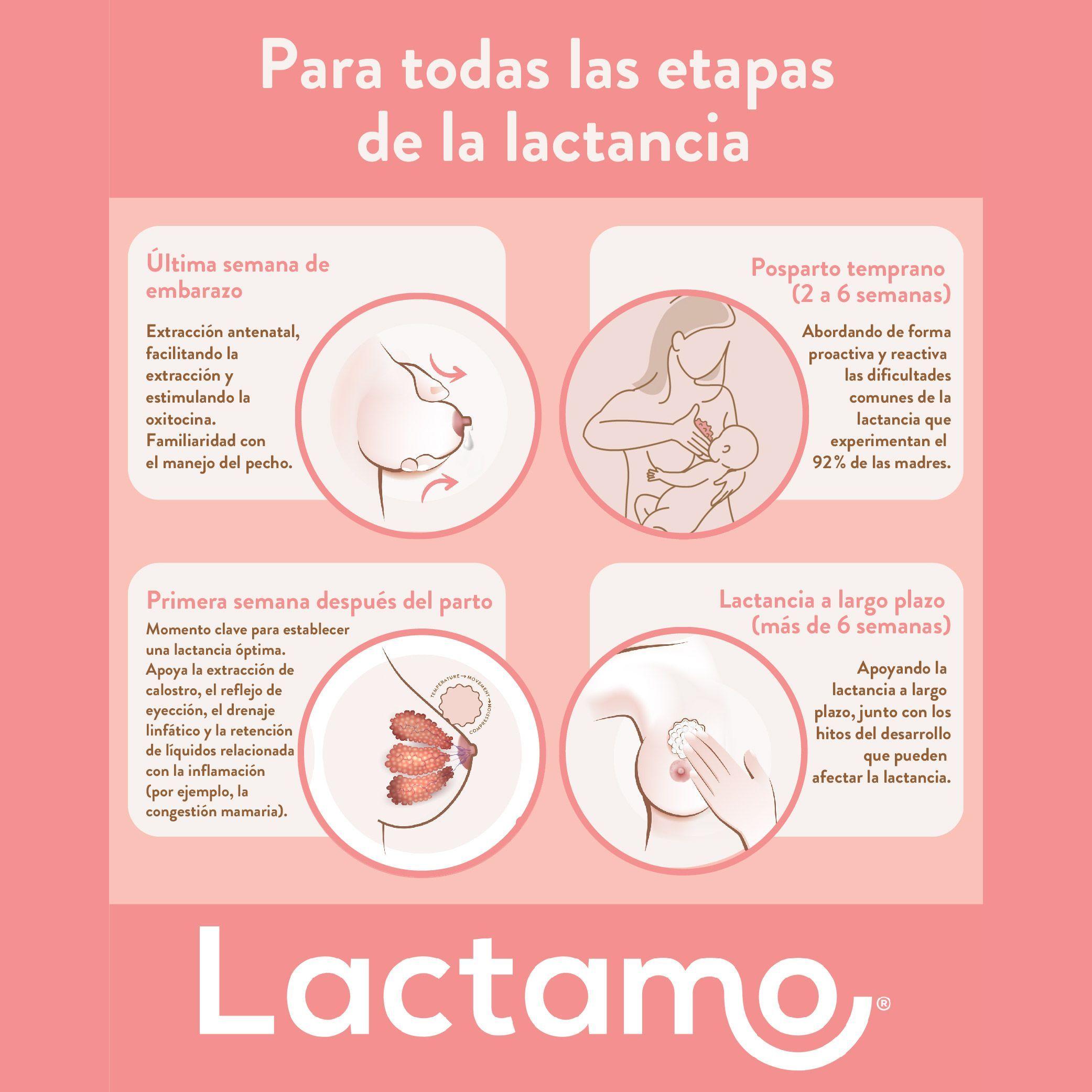 Lactamo masajeador de lactancia-2