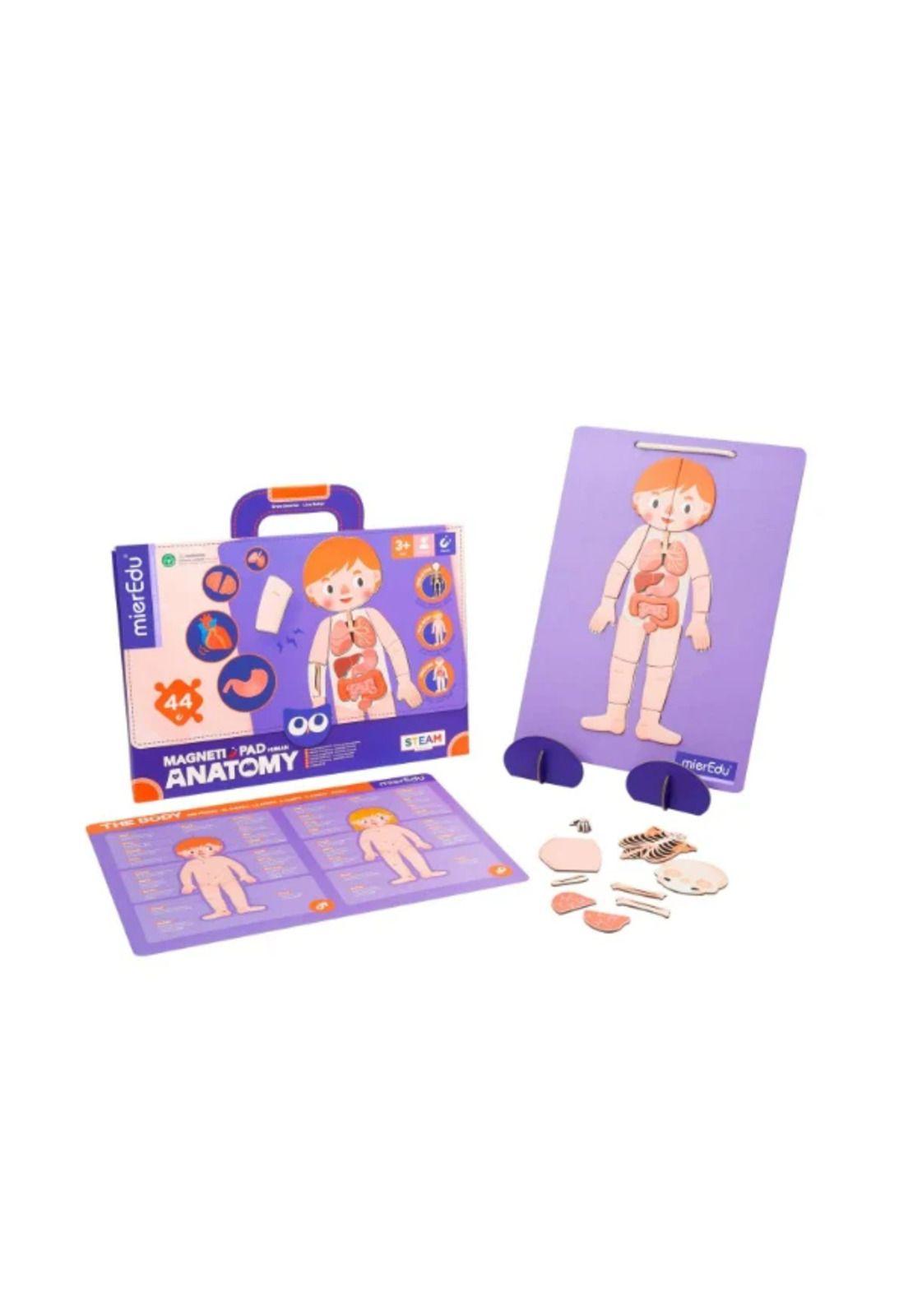 Maletín Magnético Anatomía MierEdu-0