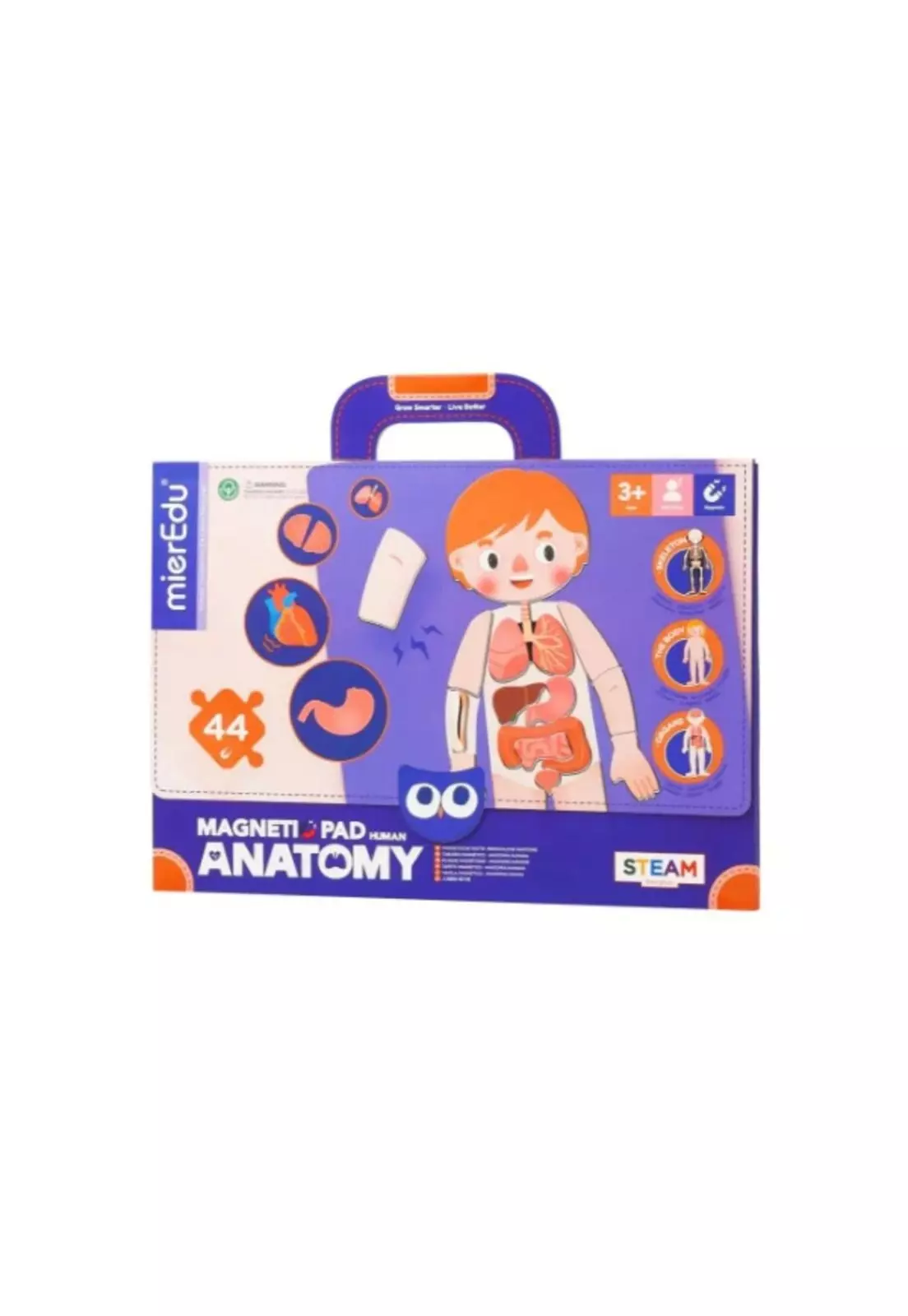 Maletín Magnético Anatomía MierEdu-1
