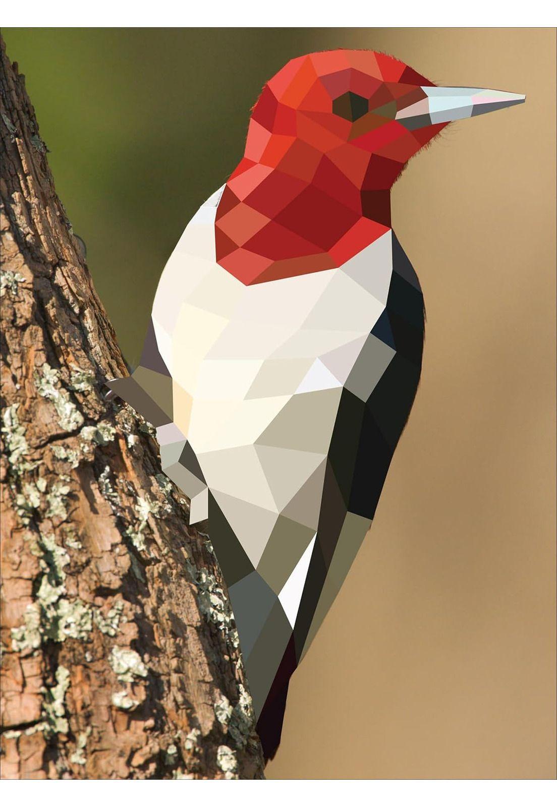 Paint by Stickers / Pinta Con Stickers: Aves Workman-5