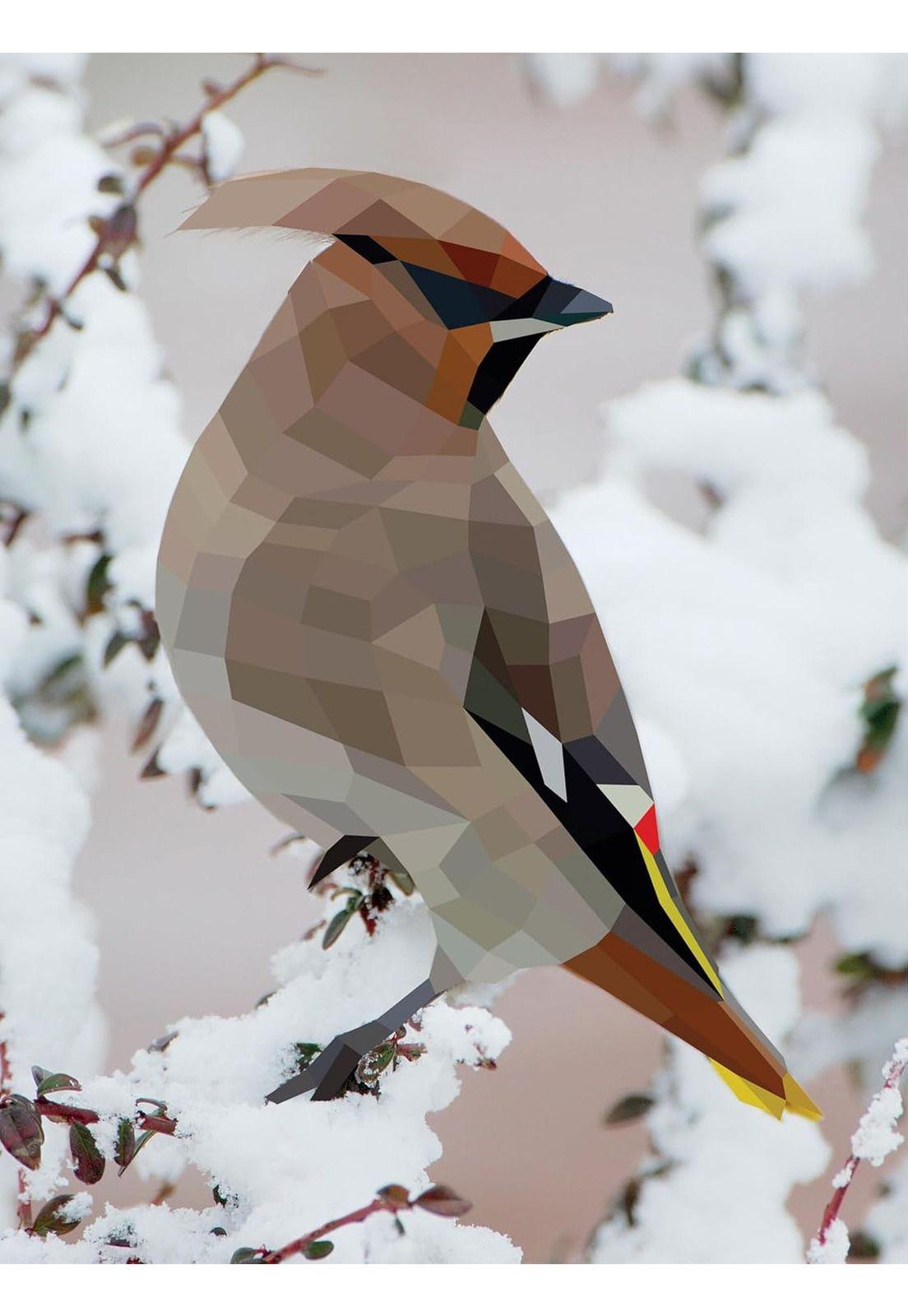 Paint by Stickers / Pinta Con Stickers: Aves Workman-6