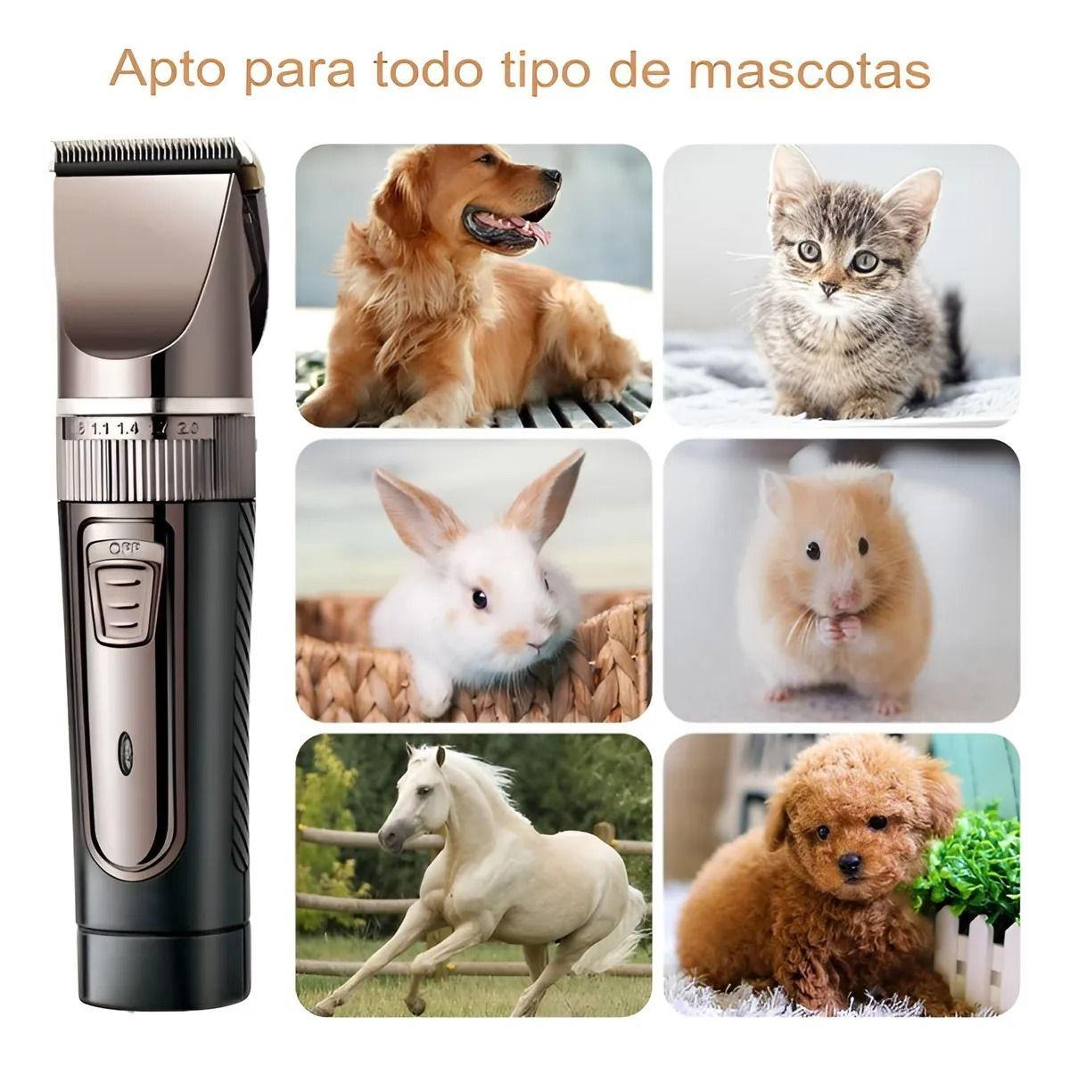 Cortadora De Pelo Para Perros Maquina Corta Recargable Usb-4