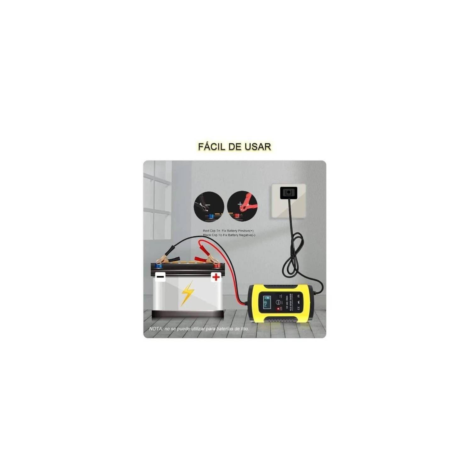 Cargador Batería Automóvil 12v Inteligente Carga Rápida-2