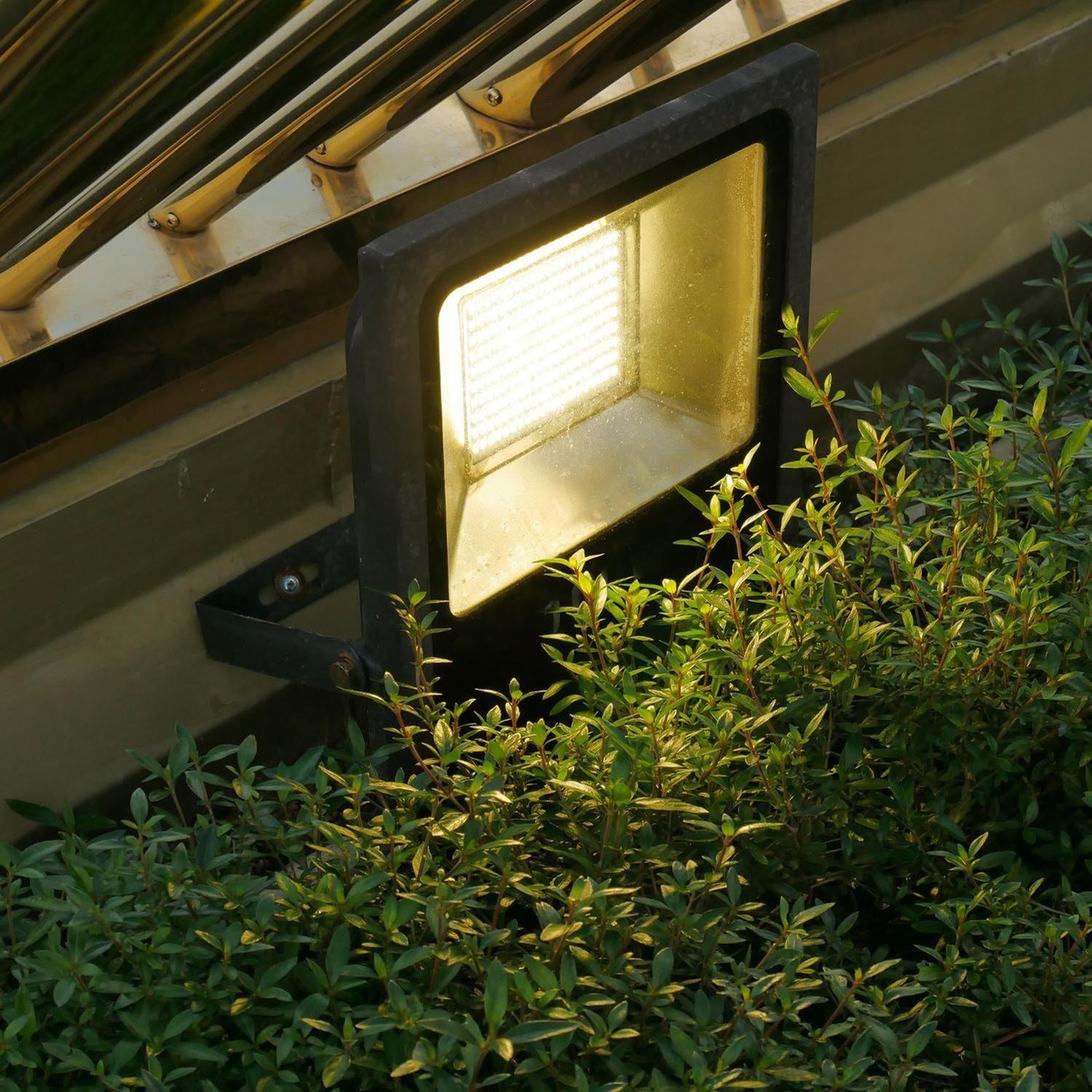 Foco Halógeno 35 LED 15 Watt Luz Fría-5