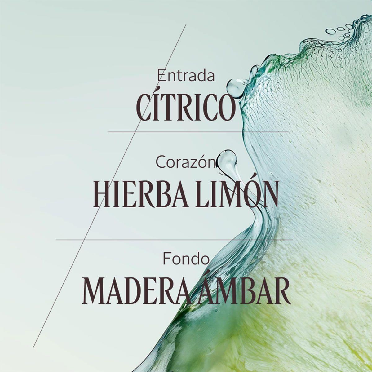 Perfume Hombre Cédrat EDT 50 ml L'Occitane-3