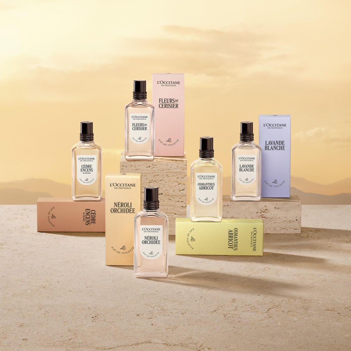 Perfume Hombre Cédrat EDT 50 ml L'Occitane-6