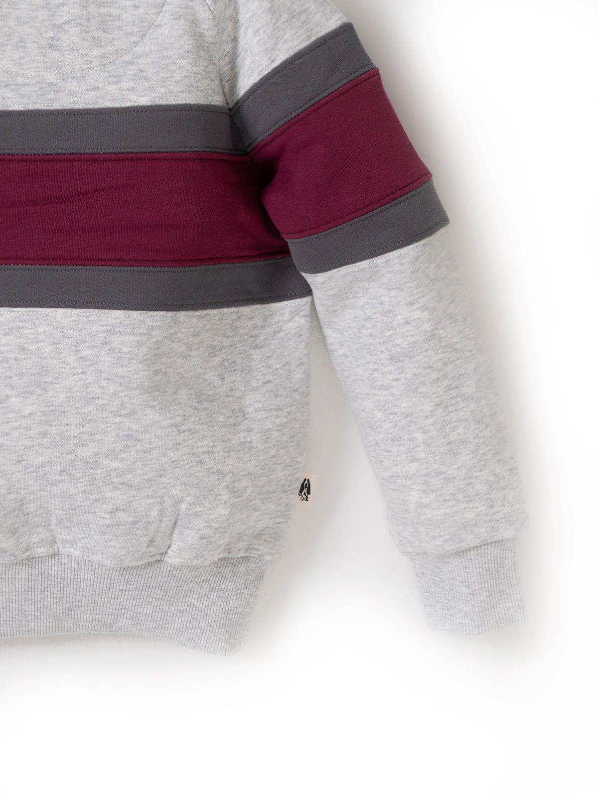 Poleron Niño Andino Gris-4