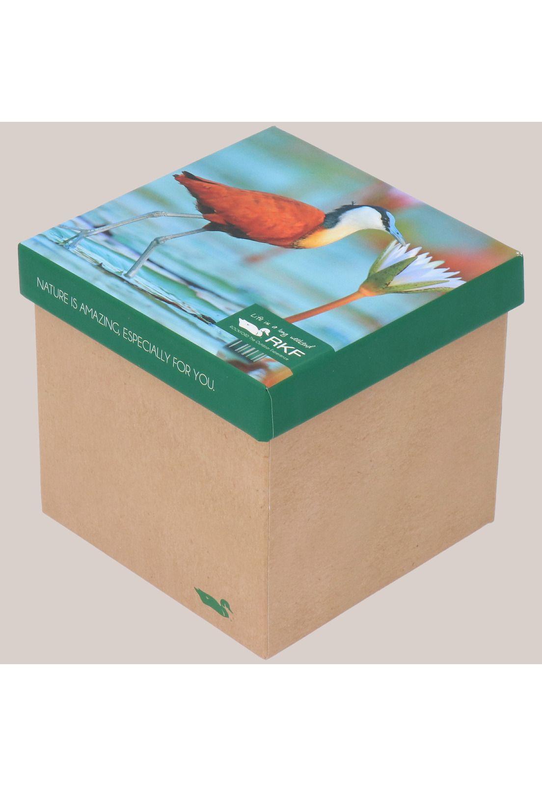 Calcetín Bambú W Pack Bird Multicolor-0