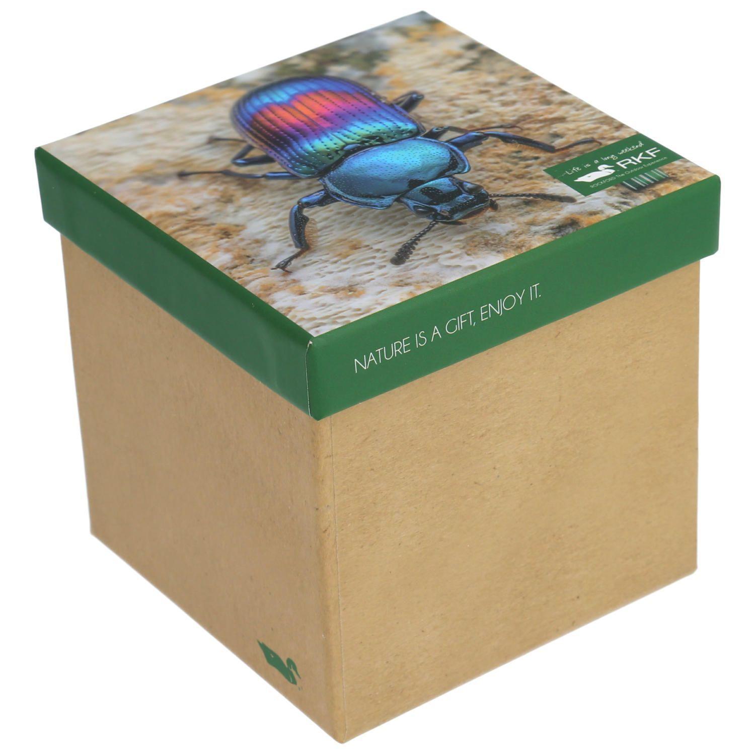 Calcetín Bambú Hombre Pack Gift Esc MultiColor-0