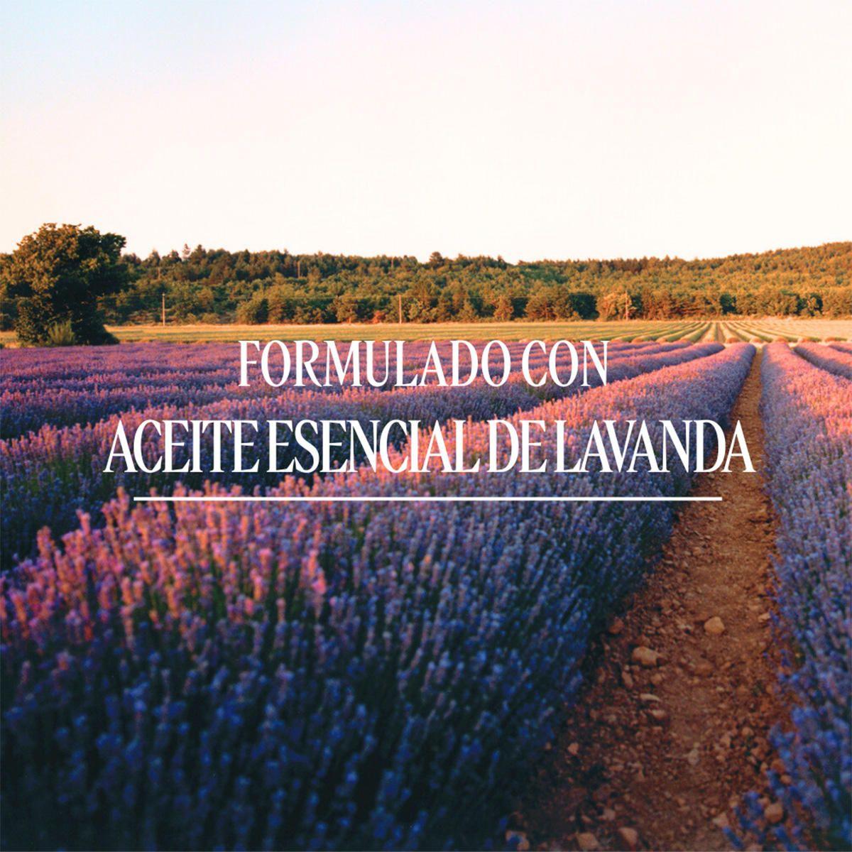 Refill Jabón Líquido Lavanda 500 ml, L'Occitane-2