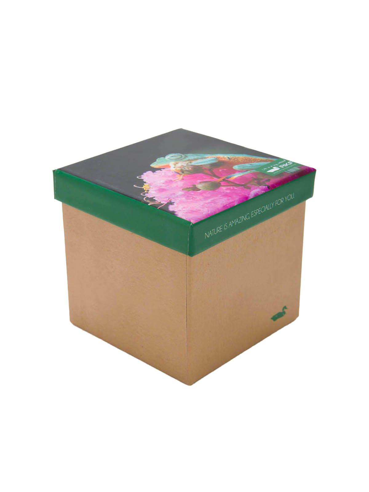 Calcetin Bambú Mujer Pack Gift Fro Multicolor-3