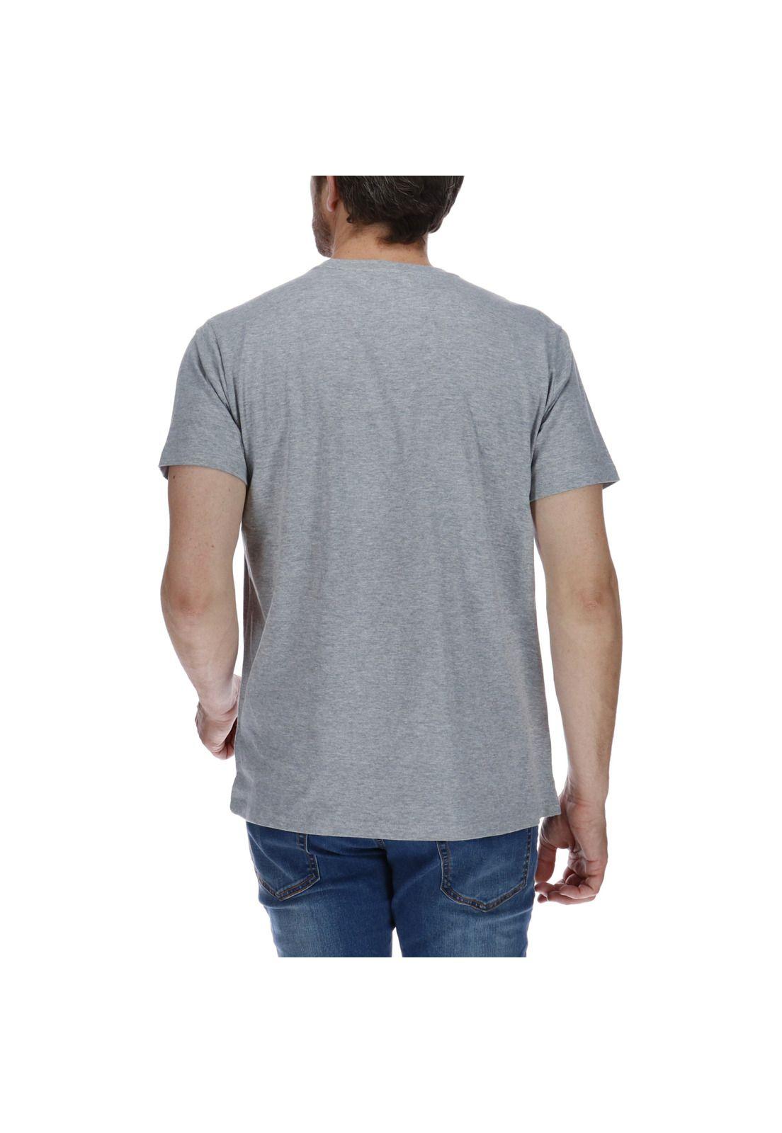 Polera Photo Gris-2