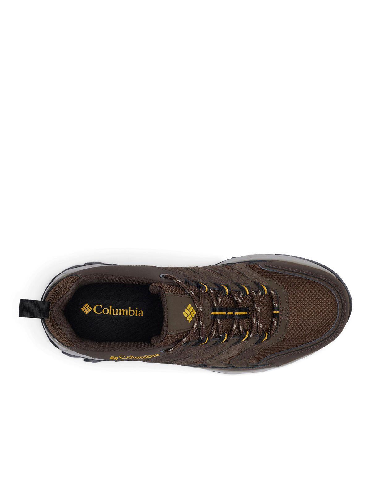 Zapatilla Hombre Strata Trail Low Café-8