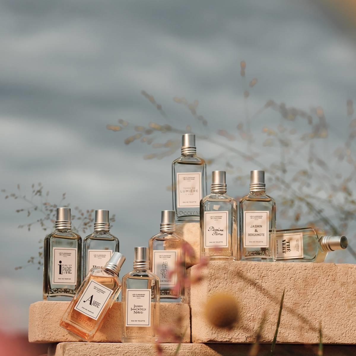 Perfume Unisex Té Verde EDT 50 ml LOccitane-2