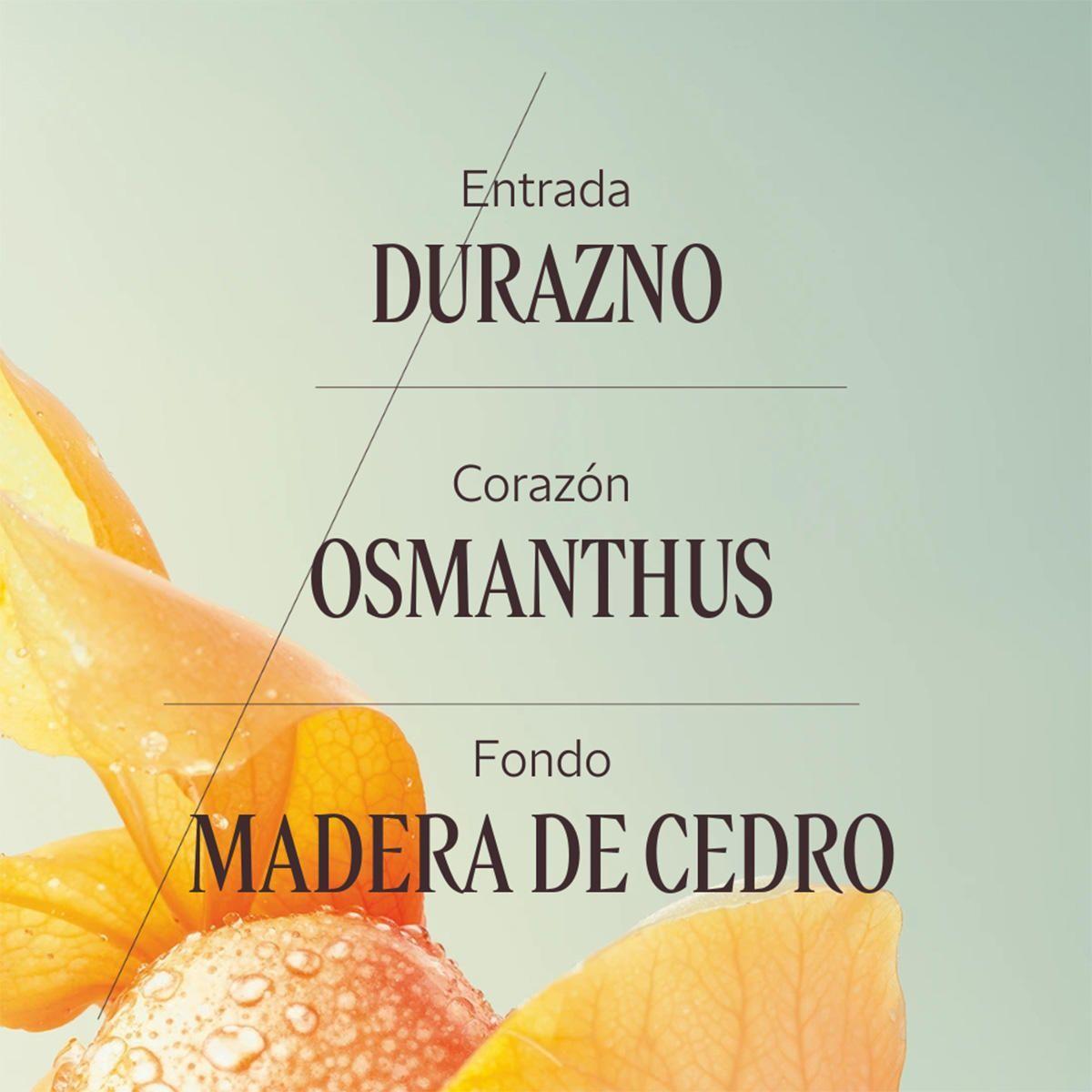Perfume Mujer Osmanthus Abricot EDT 50 ml  L'Occitane-3