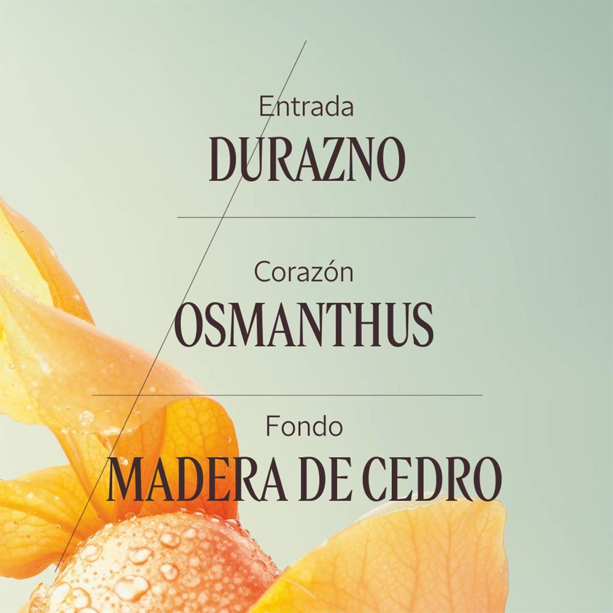 Perfume Mujer Osmanthus Abricot EDT 50 ml  L'Occitane-3