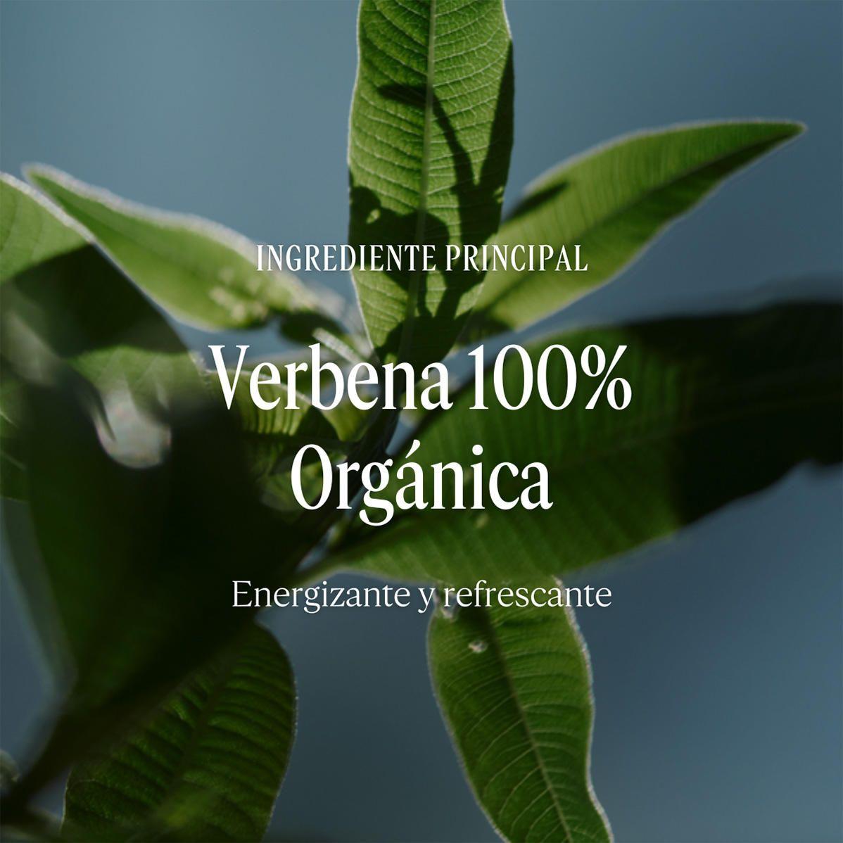 Refill Gel De Ducha Verbena Citrus 500 ml L'Occitane-2
