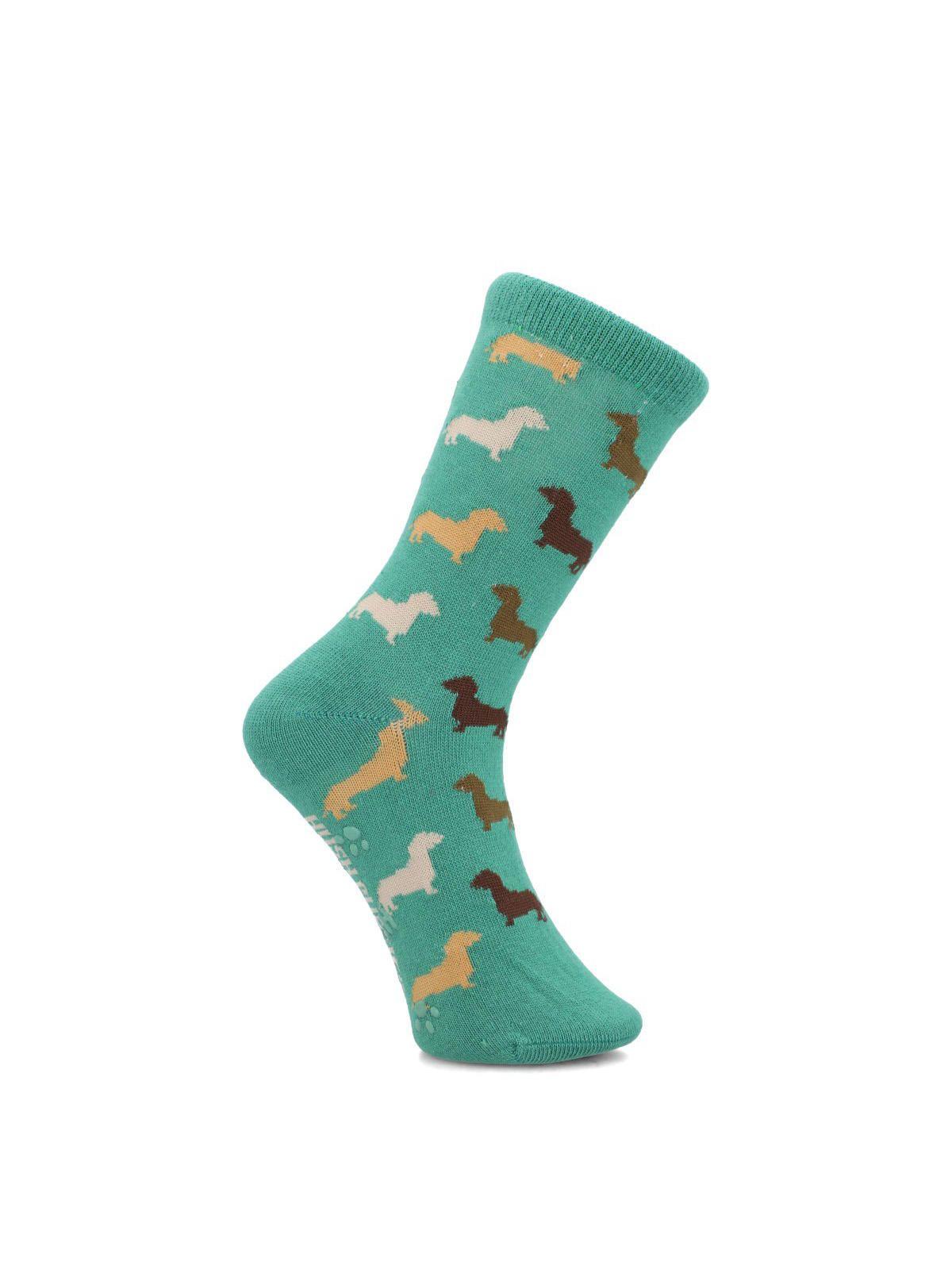 Calcetín Algodón C Dachshund Verde Niño-0