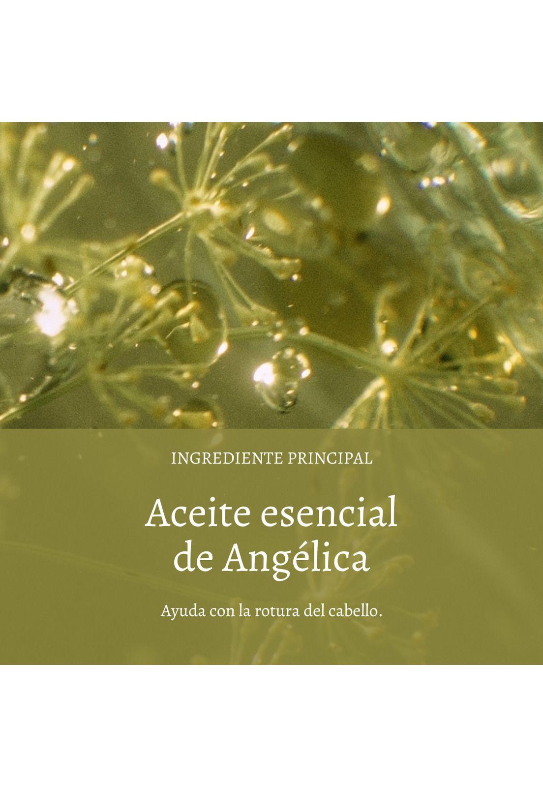 Aceite Capilar Reparador Aromacología 100 ml LOccitane-2