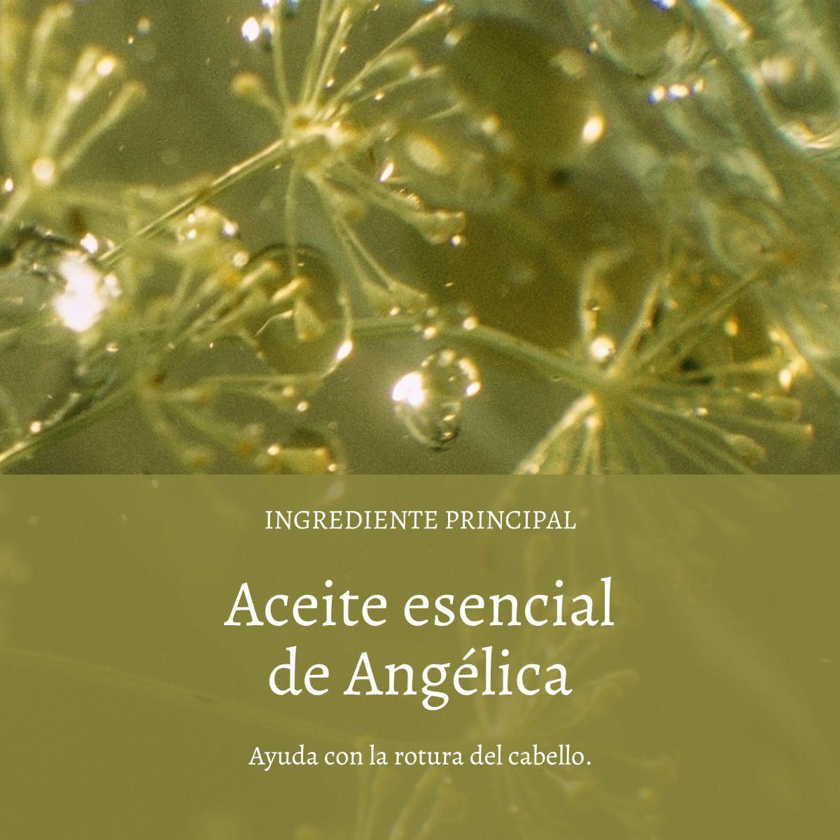 Aceite Capilar Reparador Aromacología 100 ml LOccitane-2