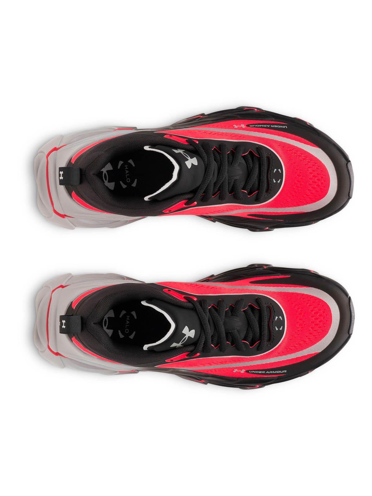 Zapatilla Running Mujer Halo Racer Negro -4