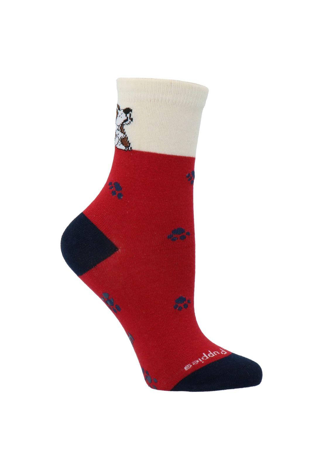 Calcetín Algodón B C Footdog-0