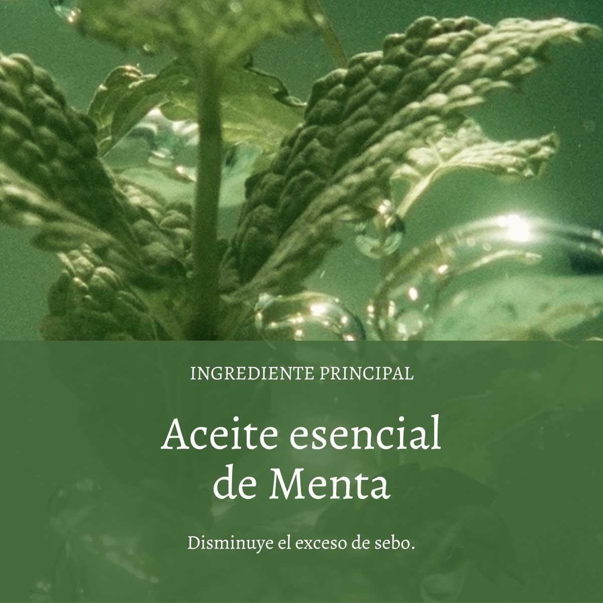Shampoo Frescura y Pureza Aromacología 300 ml L'Occitane-1