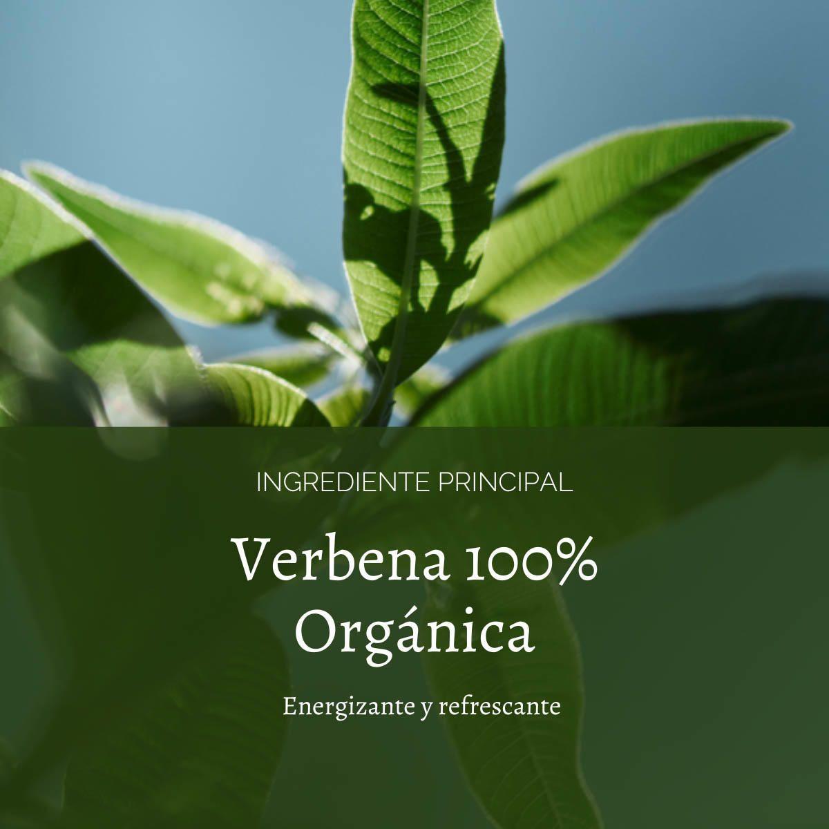 Gel de Ducha Verbena Citrus 250 ml-3