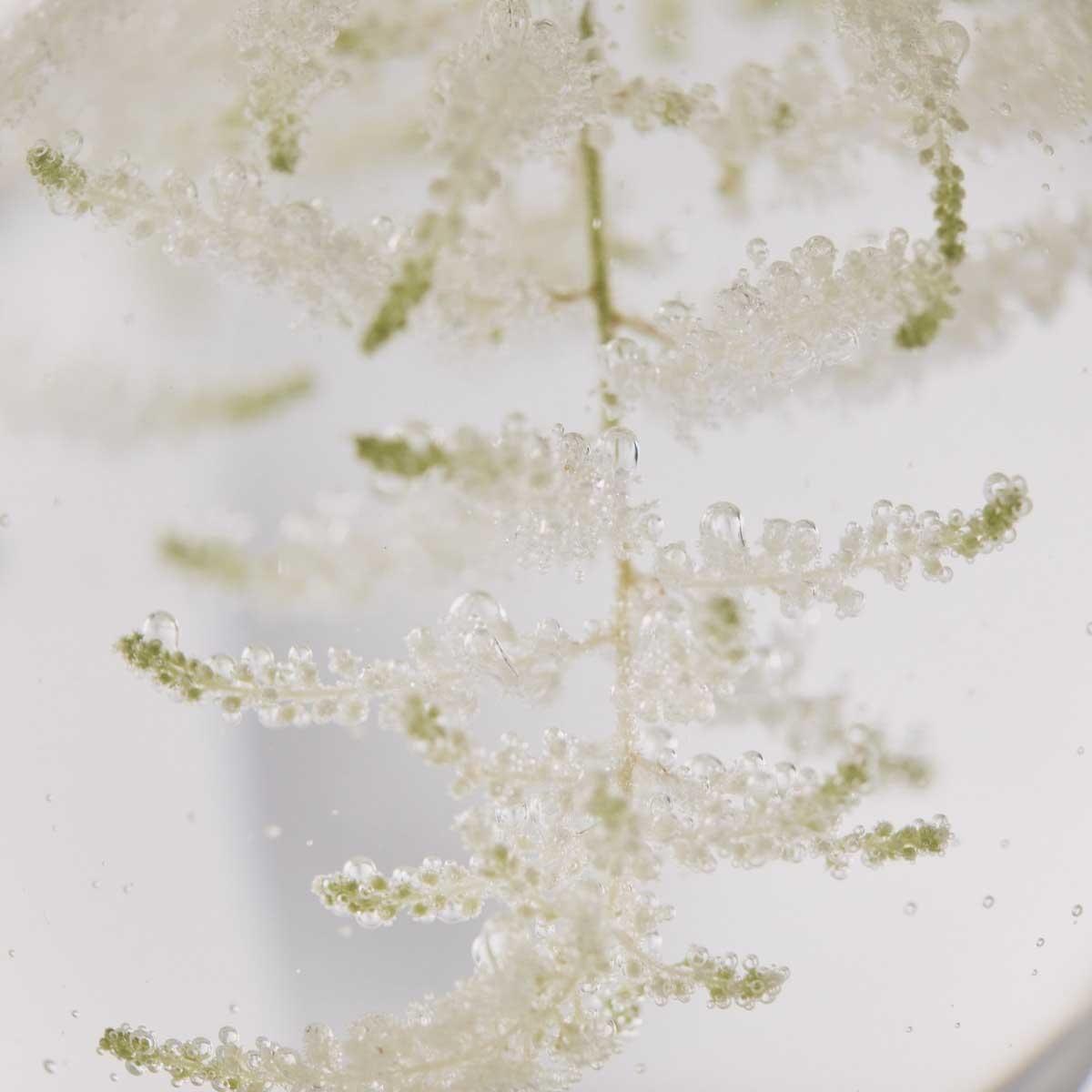 Espuma Limpieza Iluminadora Despigmentante 150 ml L'Occitane-2