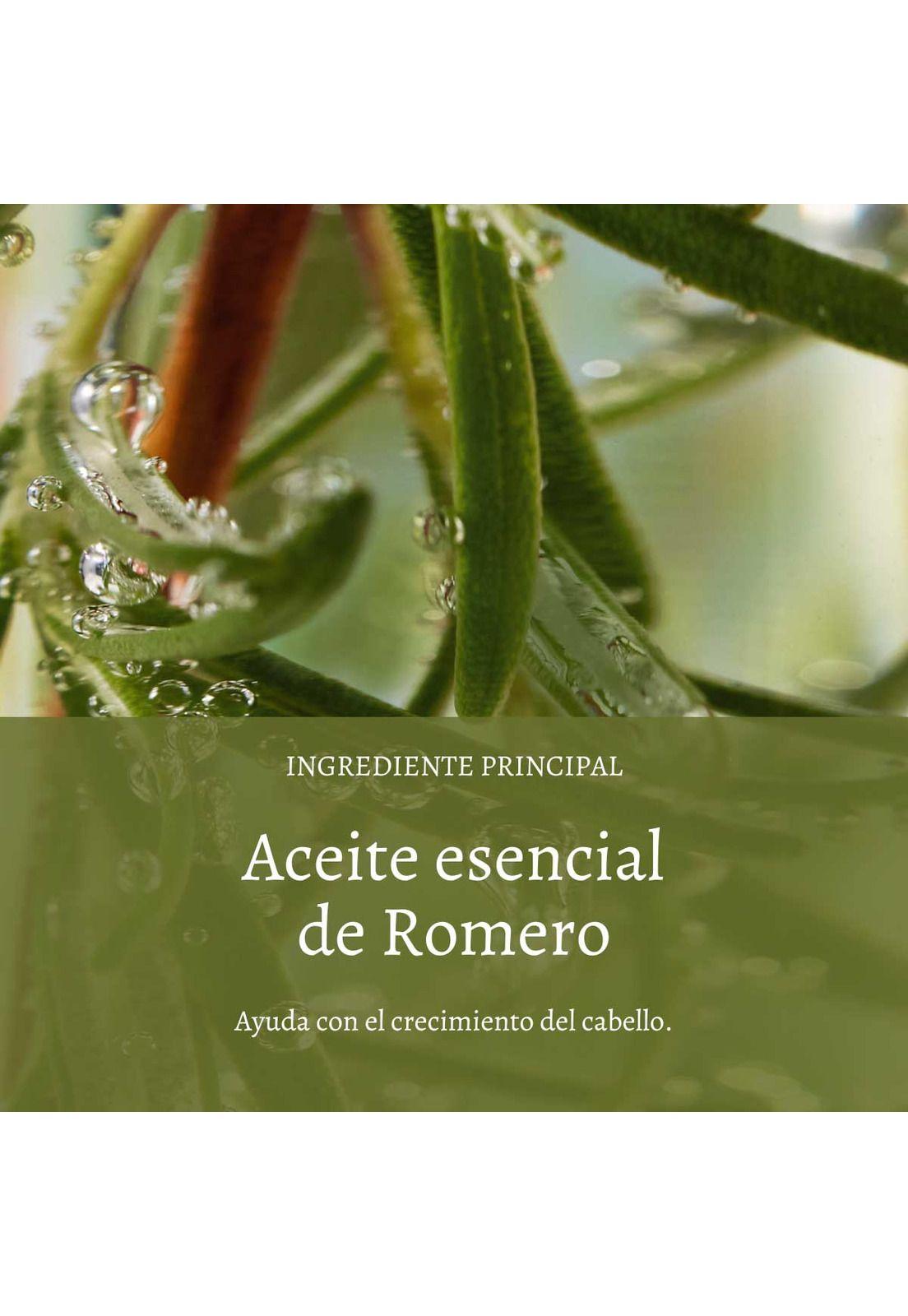 Shampoo Fuerza Y Volumen 500 ml L'Occitane-1