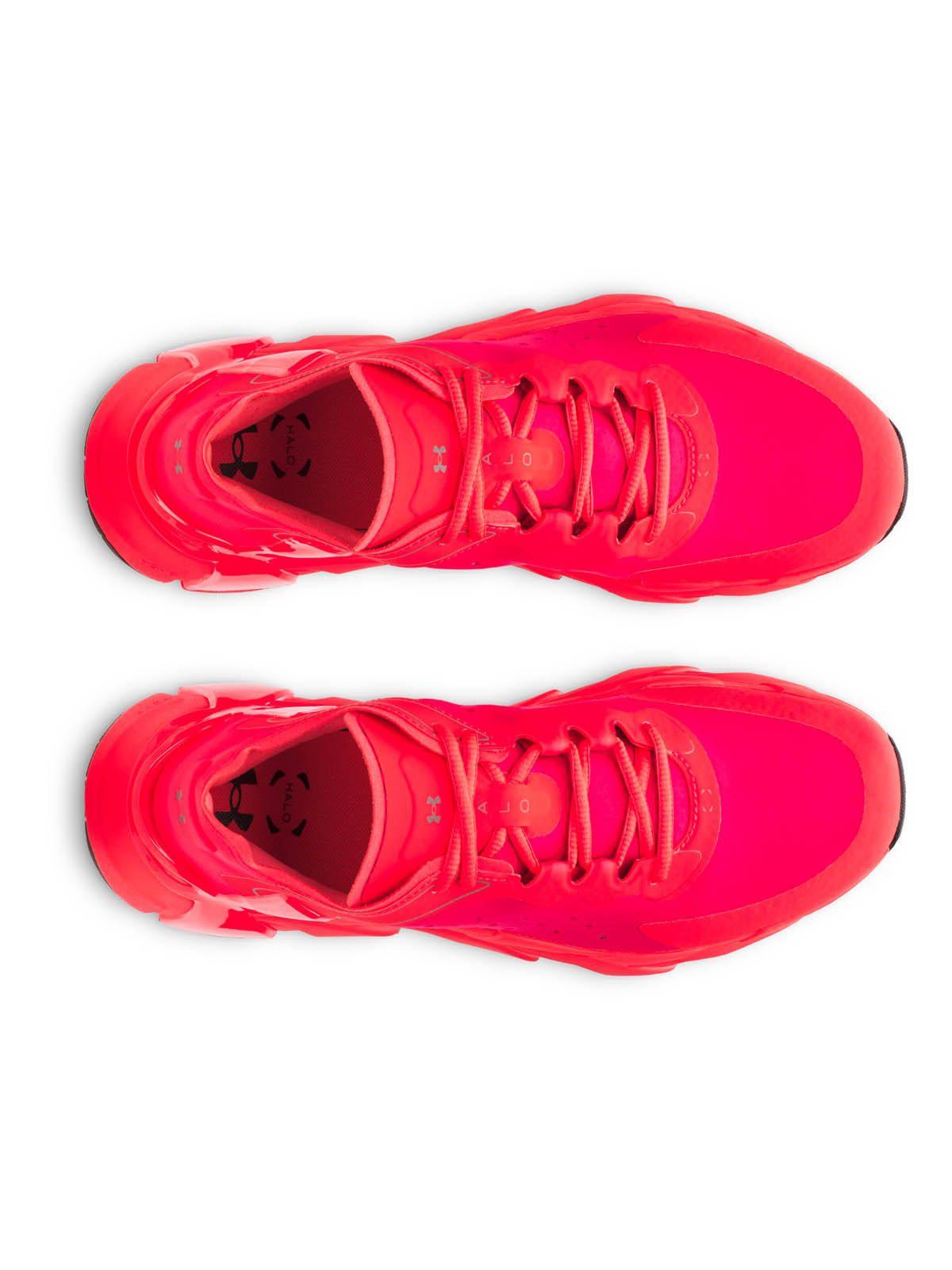 Zapatilla Training Hombre Halo Trainer Rojo -4