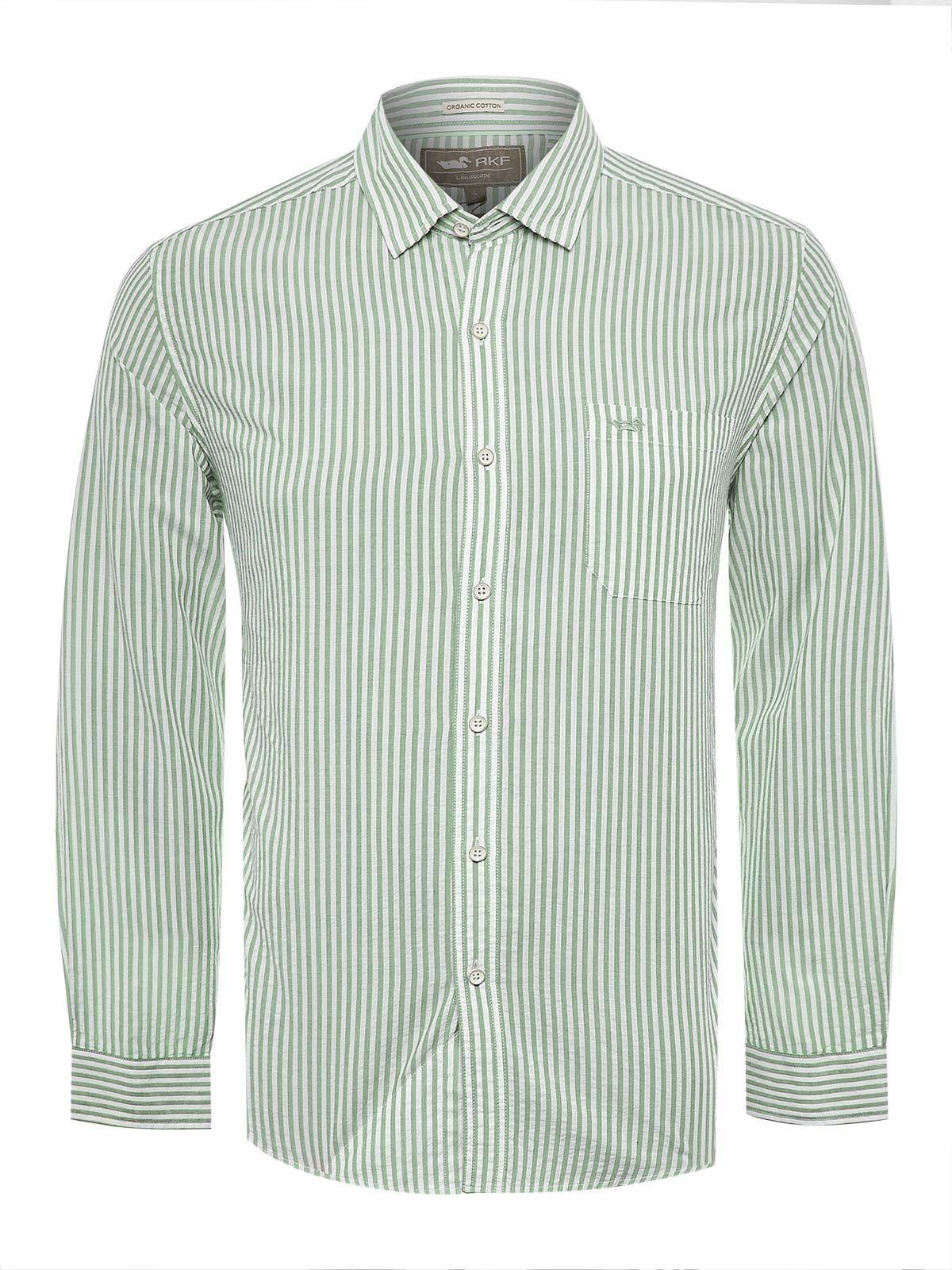 Camisa Algodón Orgánico Hombre Raya Verde-0
